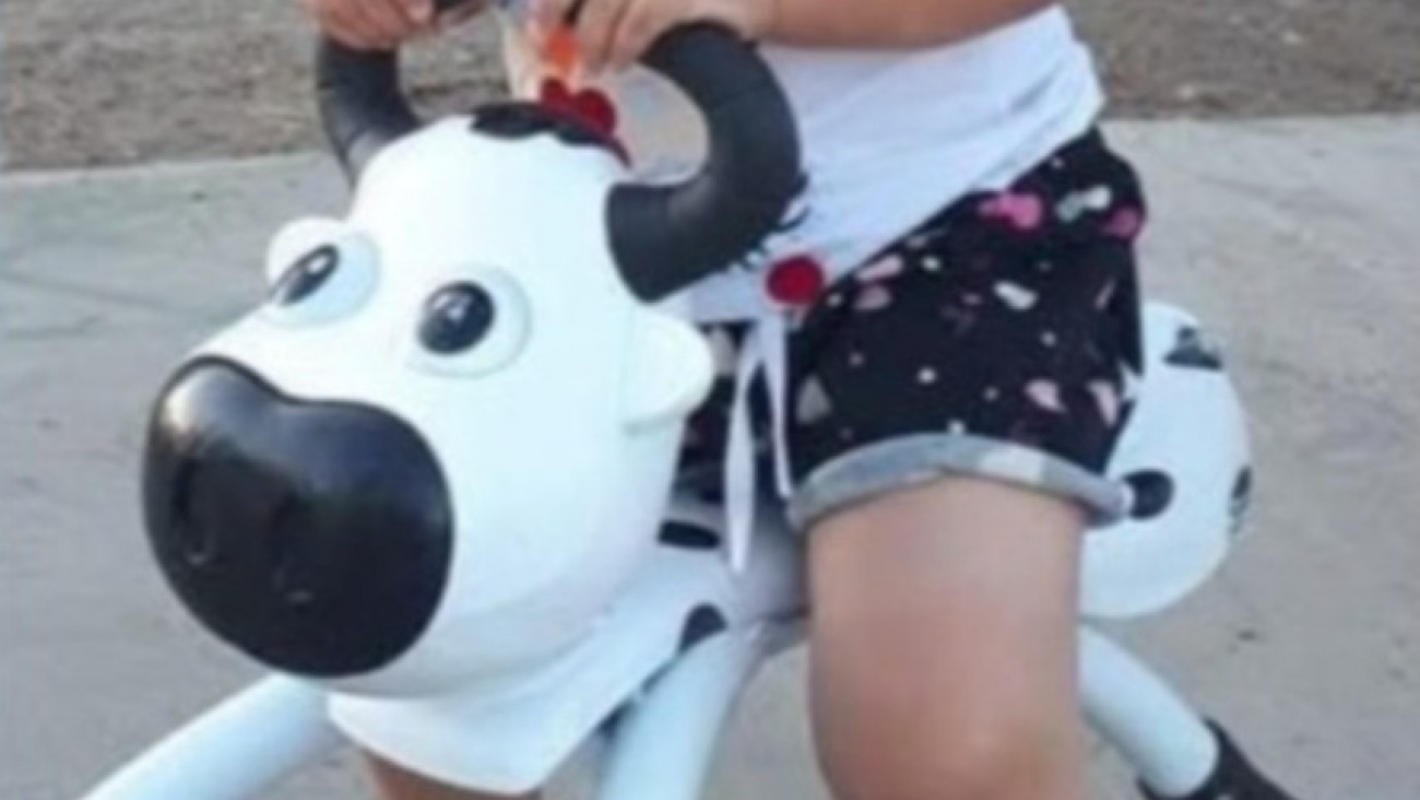 Buscan La Vaquita del carrito de helados: "hay cámaras, una mujer se la llevó y es para que todos los niños la usen"