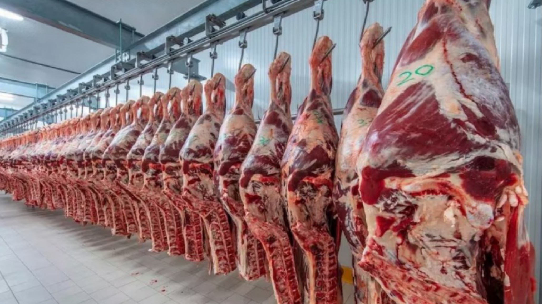 Dante Jurado: "La venta cayó un 30%, si la medida hará bajar el precio de la carne me parece bien"