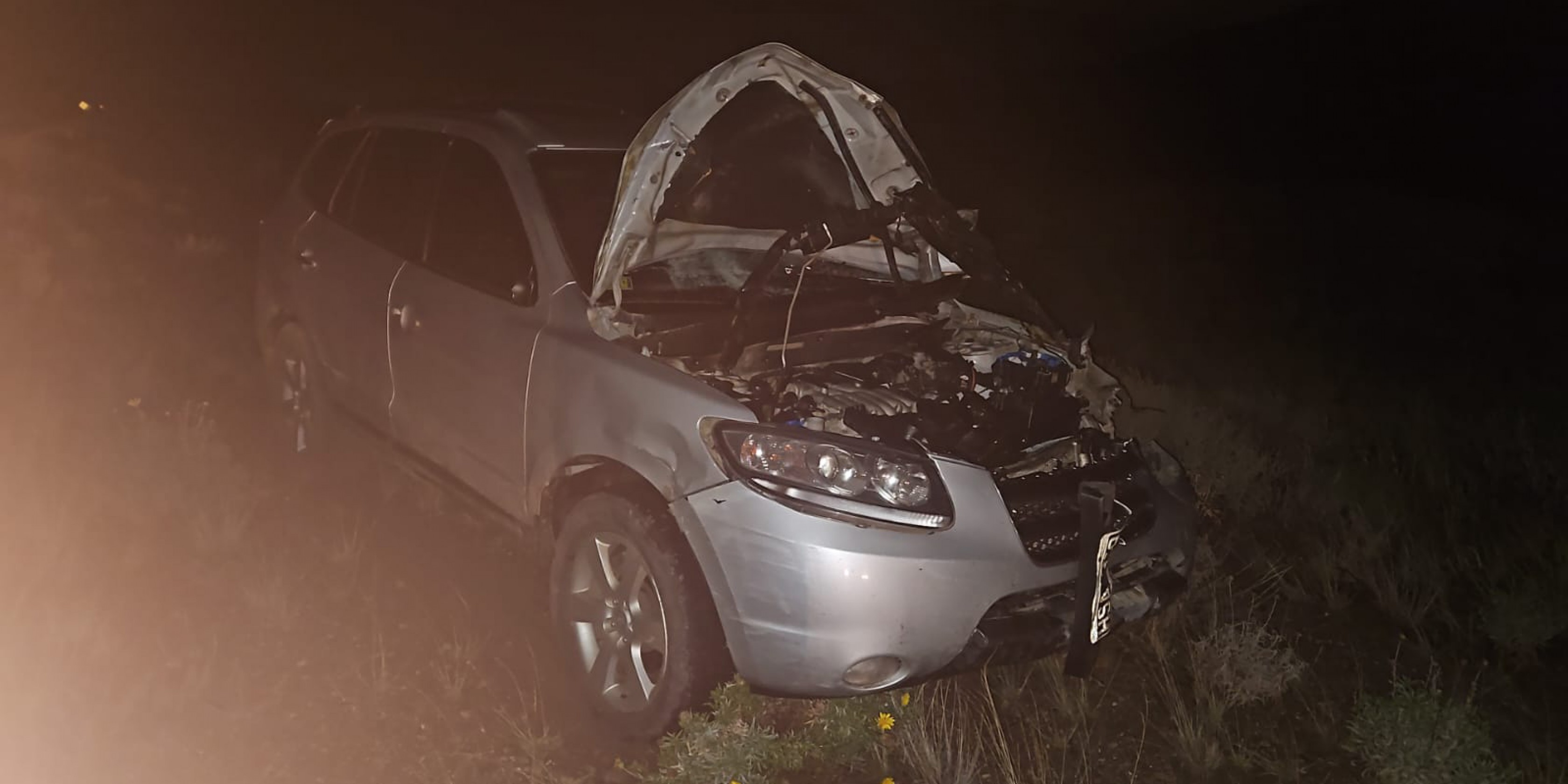 Accidente en Diadema: un auto chocó contra un caballo suelto y reaviva el reclamo por controles