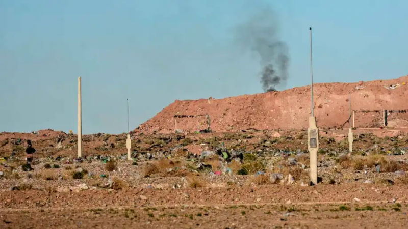 Un bebé murió tras recibir una patada de un caballo