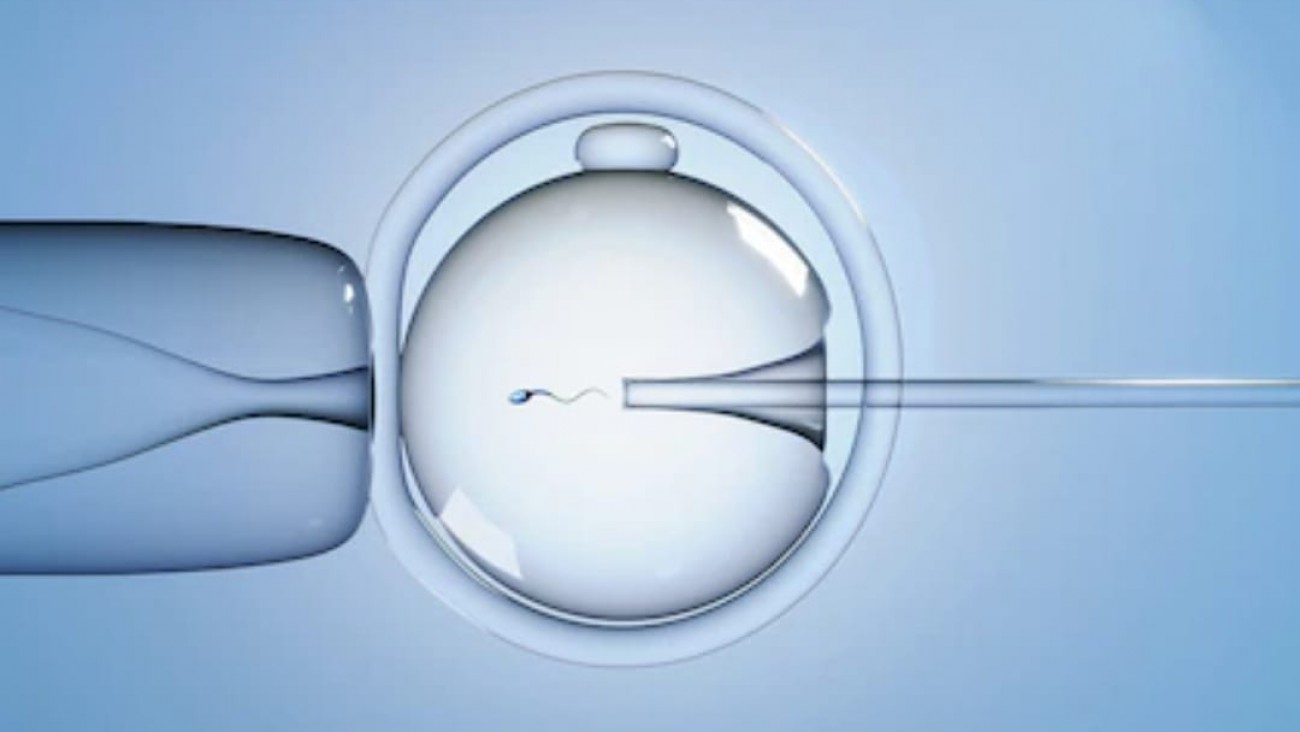 Nació el primer bebé concebido por fertilización in vitro controlada por inteligencia artificial