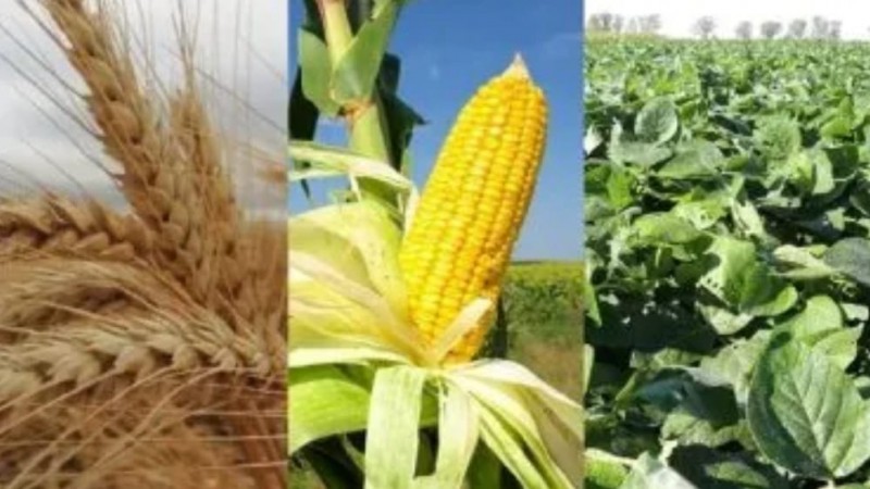 Tensión con el campo: Milei le advirtió al sector agrario que en junio vuelven las retenciones