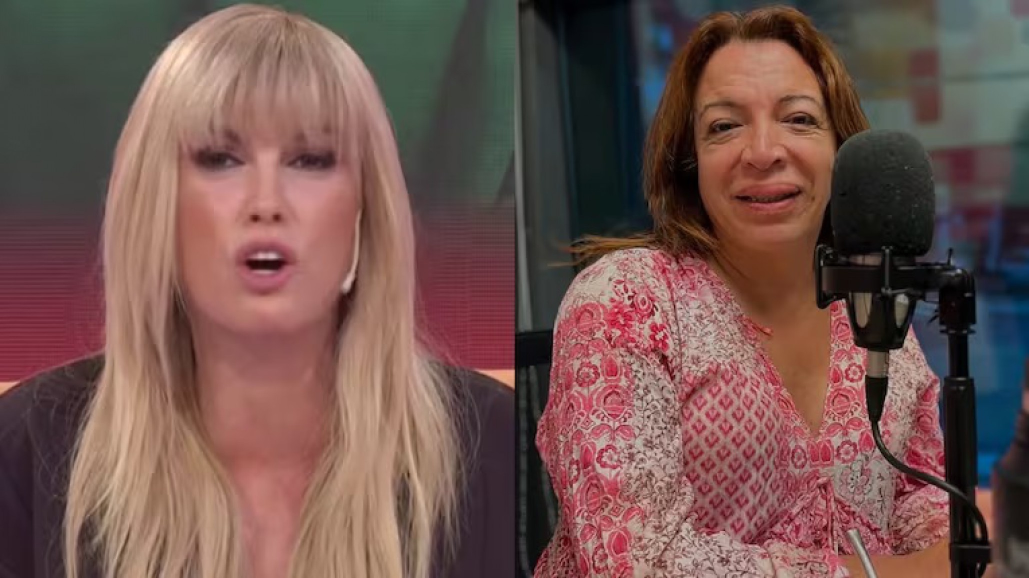 Viviana Canosa lanzó duras acusaciones contra Lizy Tagliani: "Me afanaba"