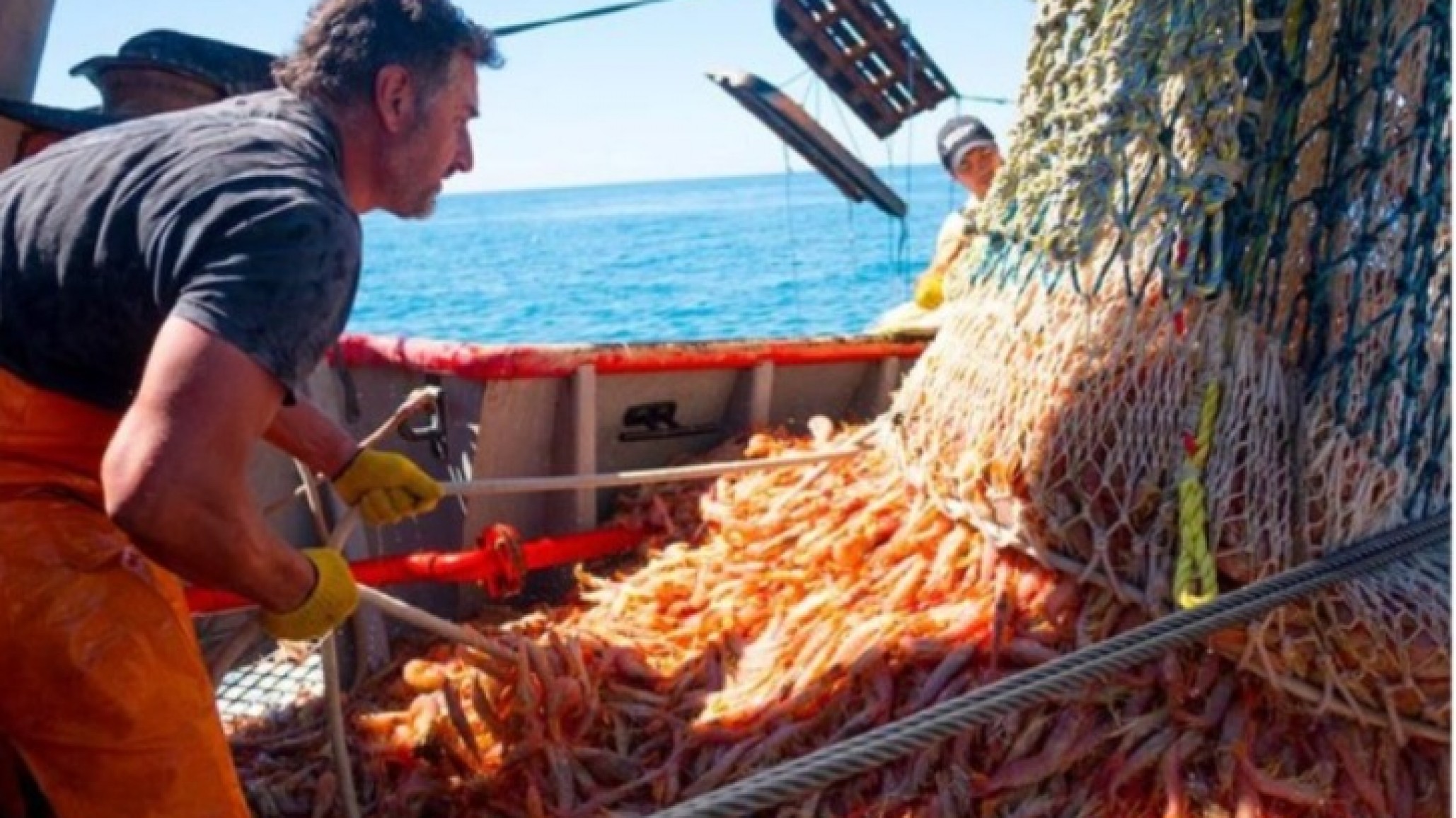 Crisis en el sector pesquero: "Sale más caro pescar que lo que se vende"