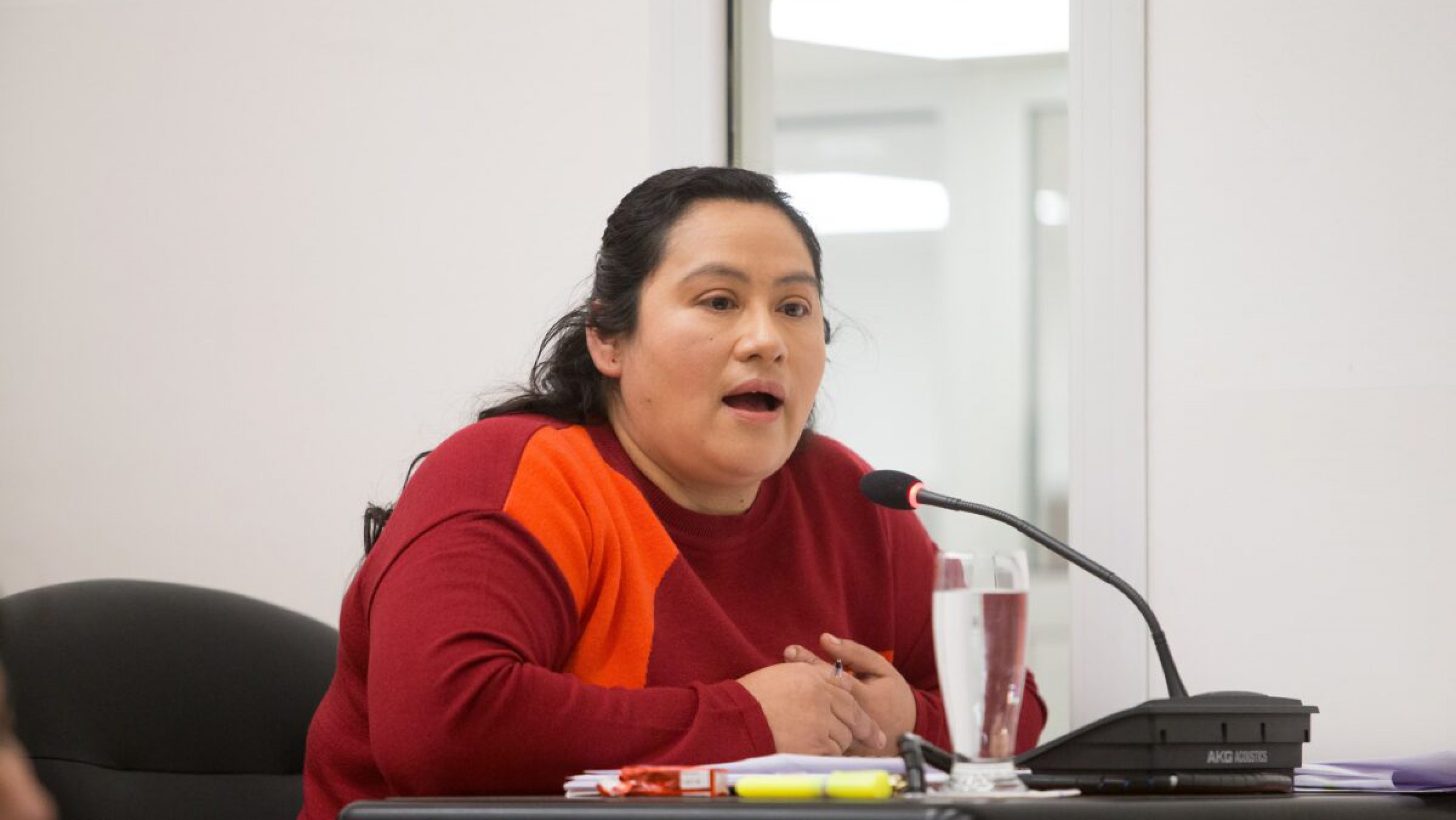 La concejal Mariela Aguilar advirtió demoras para aplicar la ordenanza sobre equinos sueltos: "Hoy no se está cumpliendo con situaciones que no son tan complejas de resolver"