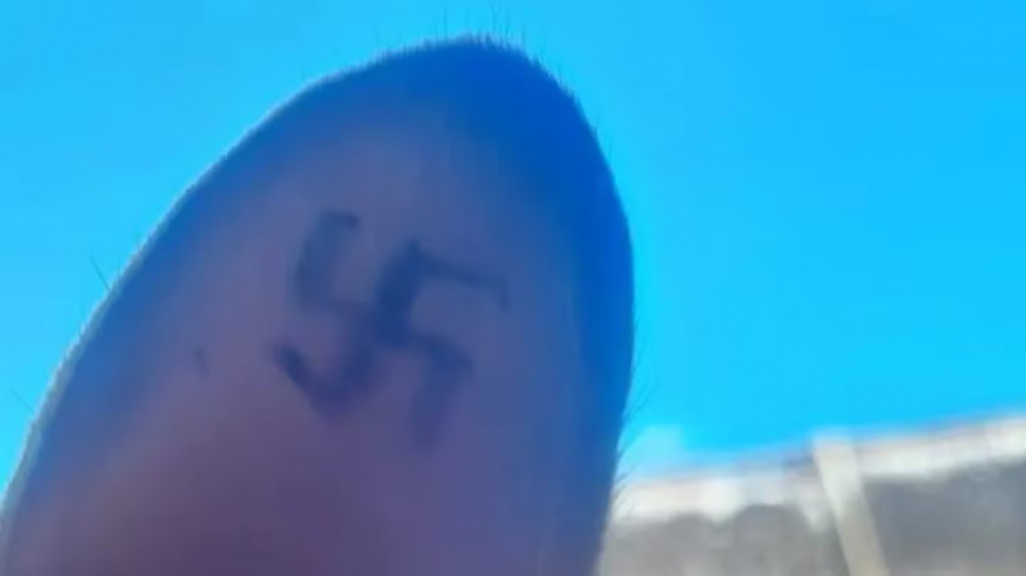 Encontraron animales callejeros con esvásticas tatuadas en las orejas en Río Negro