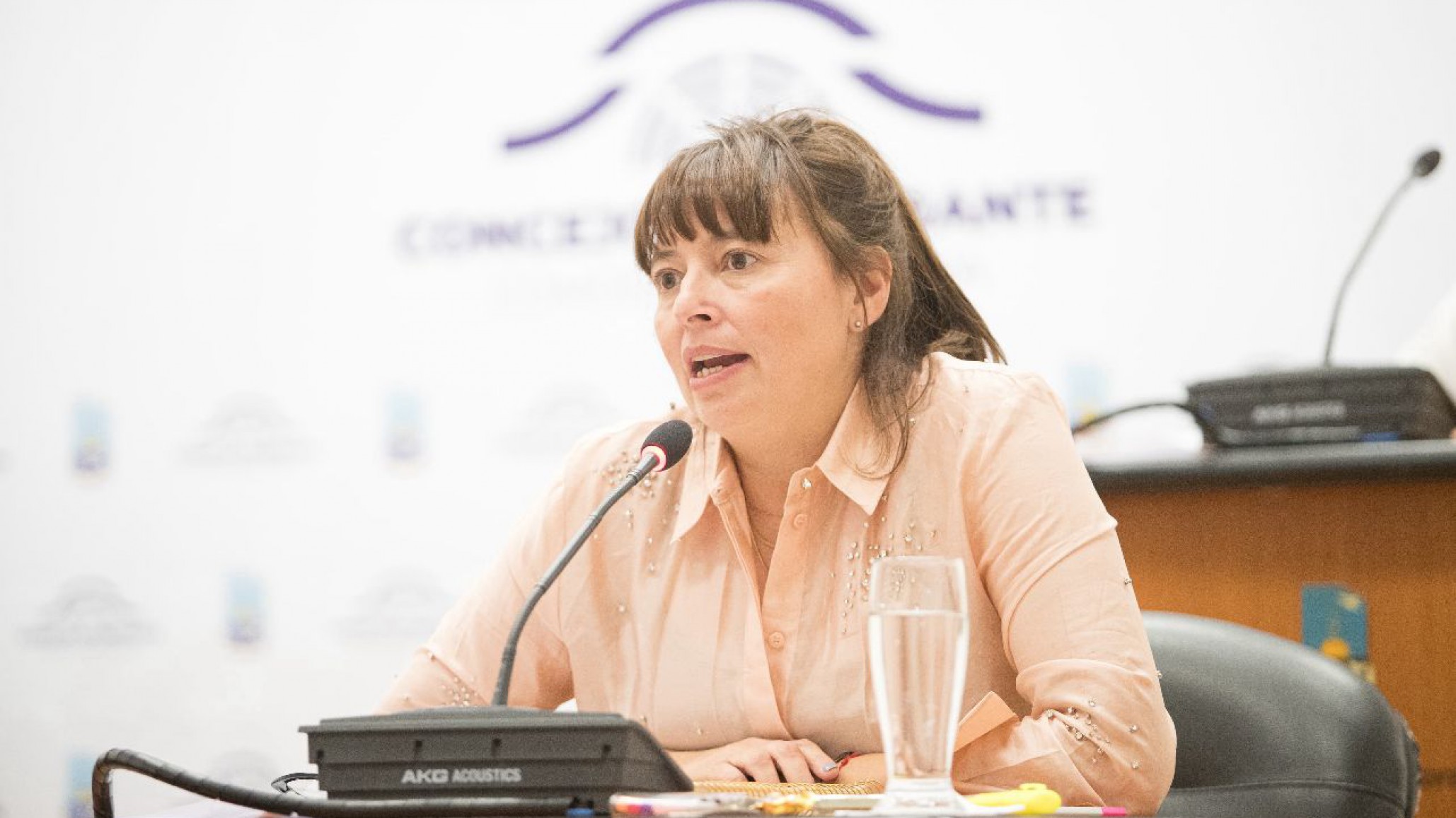 Ordenanza en marcha: buscan regular los salones con piletas