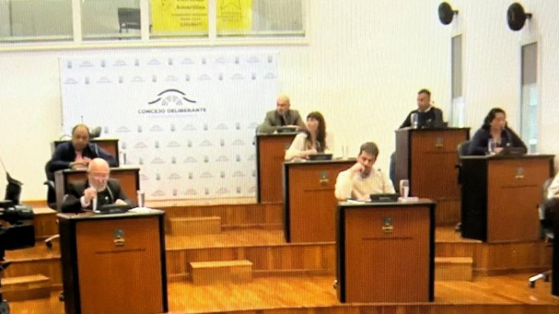 Un proyecto expuso en el Concejo las diferencias dentro del bloque Despierta Comodoro