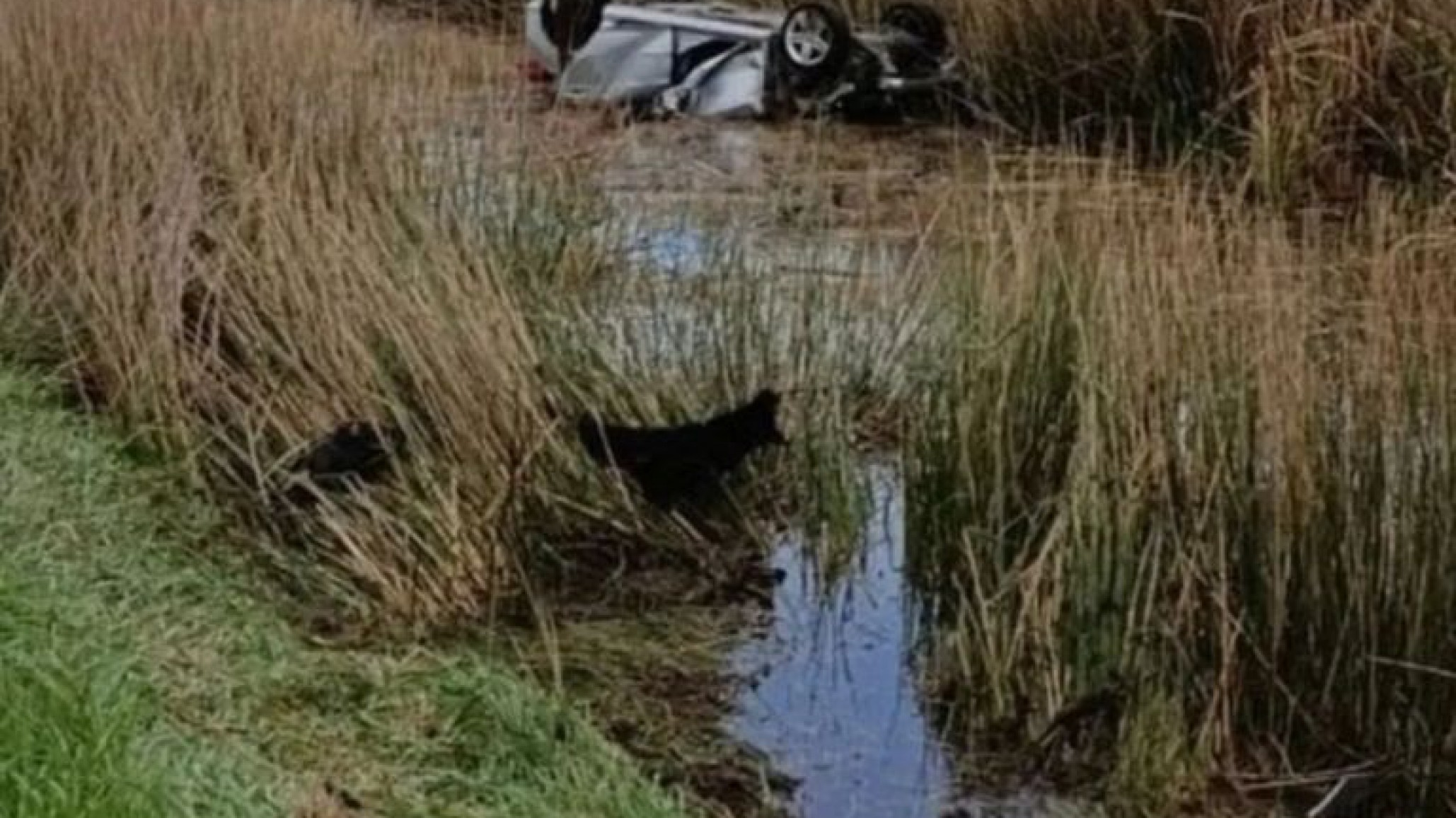 Un matrimonio de jubilados murió ahogado tras volcar en una banquina inundada por las lluvias