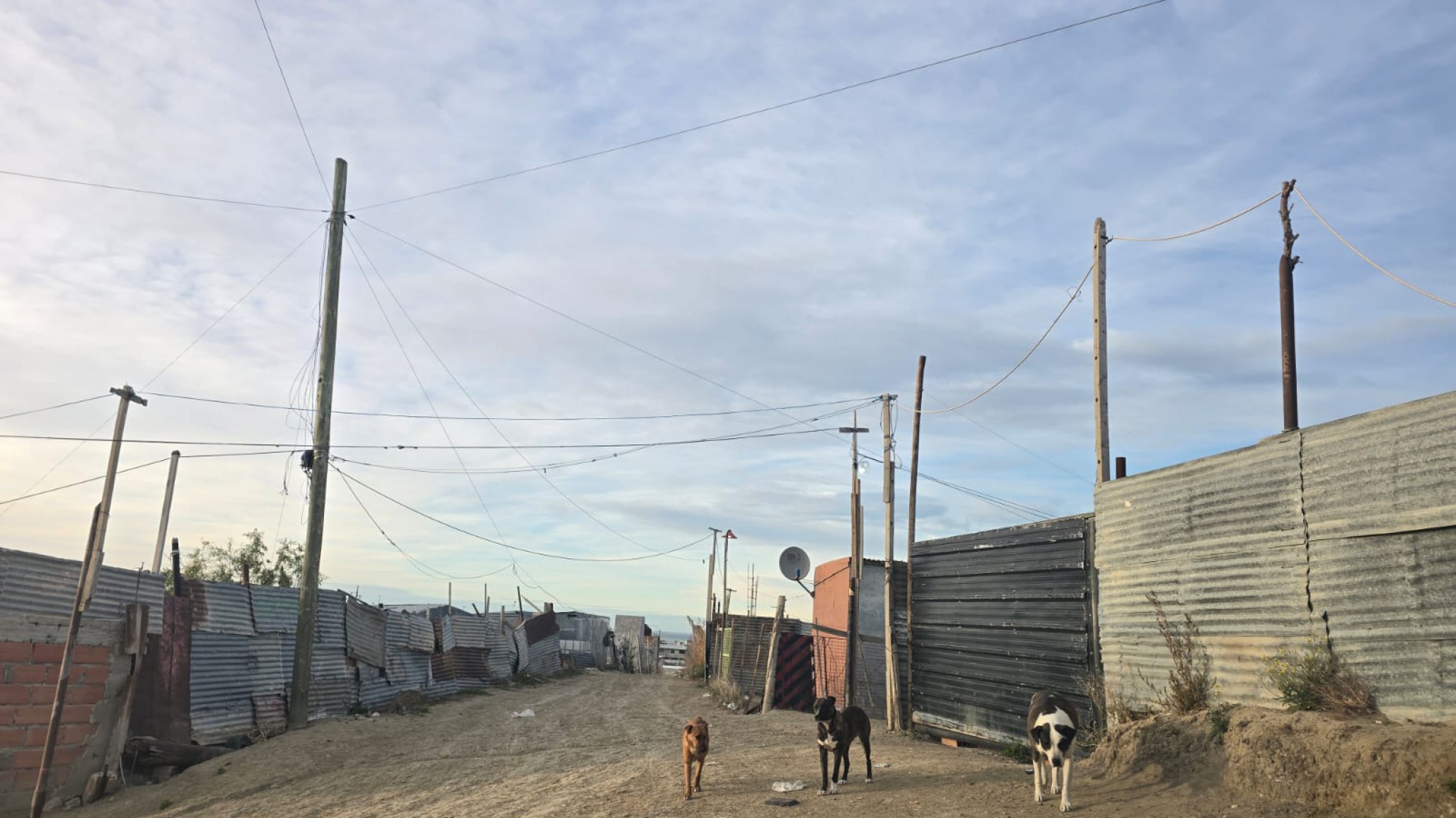 Vecina de Comodoro denuncia violencia por parte de tres familias del barrio: "No podemos dormir, vivimos con miedo"