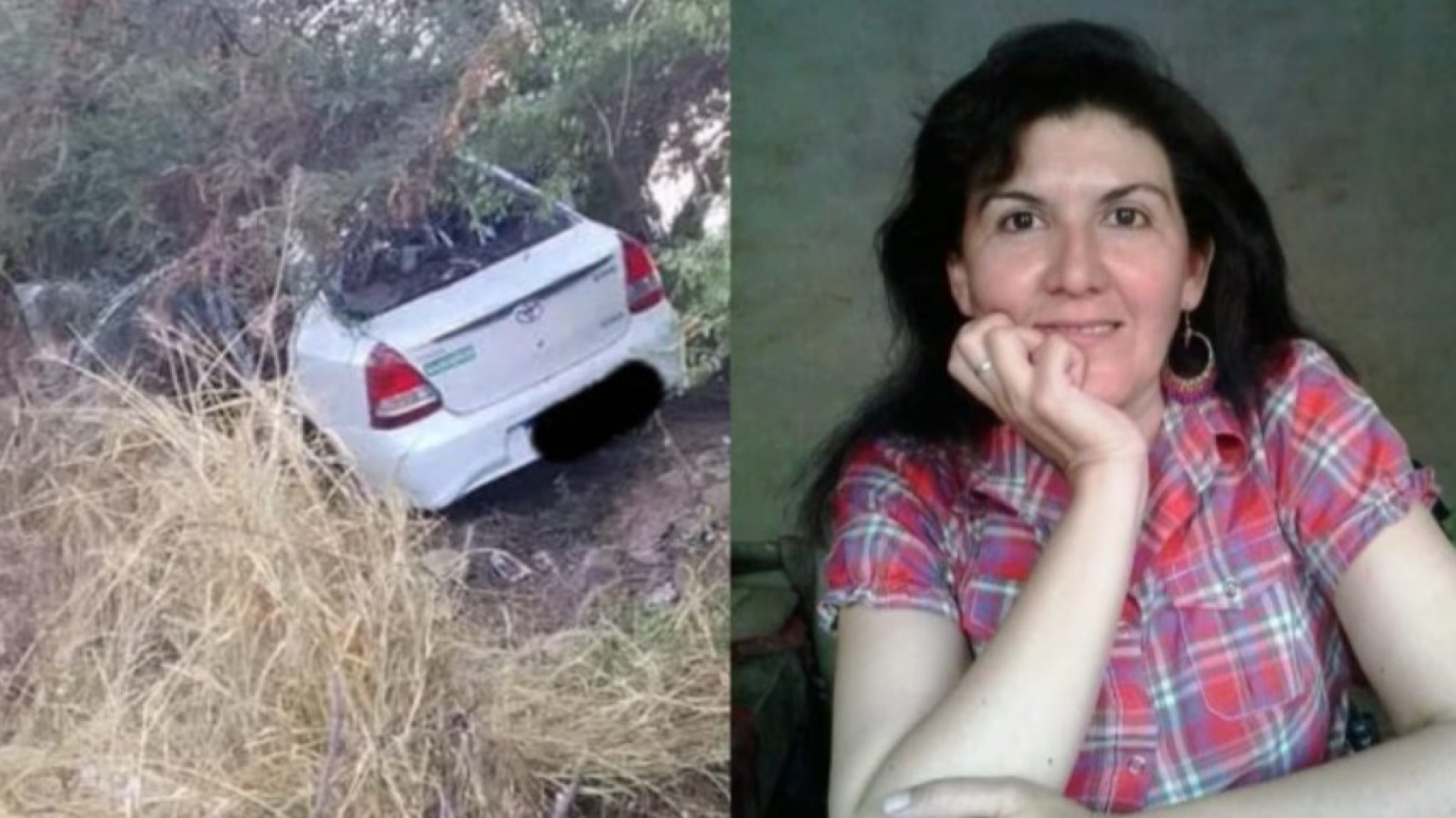 Tragedia: dos docentes hicieron dedo en la ruta, el auto atropelló caballos y una de ellas murió