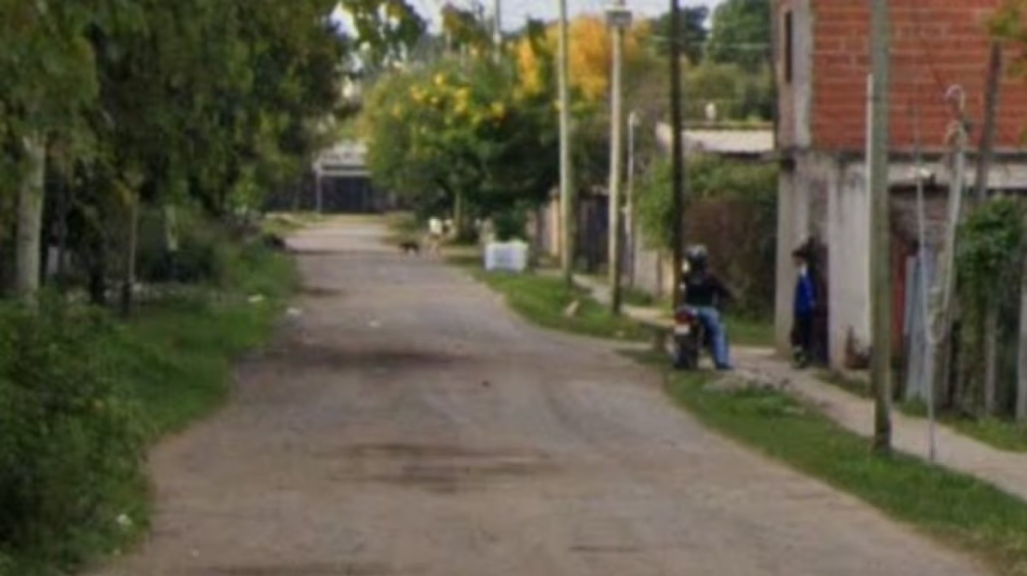 Una adolescente de 17 años fue asesinada en un tiroteo tras una disputa familiar