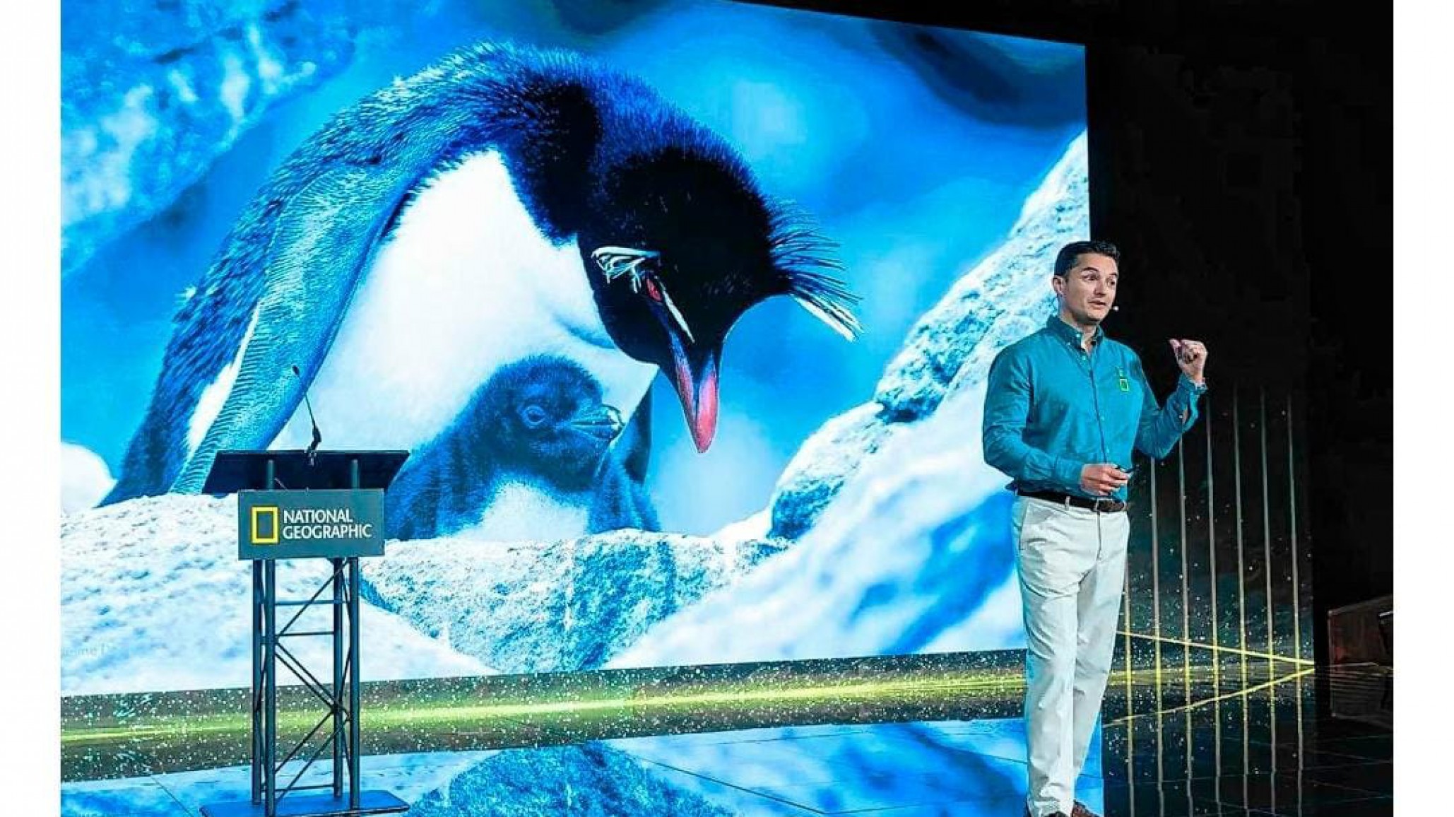 De la UNPSJB al mundo: Pablo Borboroglu ganó el premio "Campeones de la Tierra" y el Rolex Awards por su trabajo con pingüinos