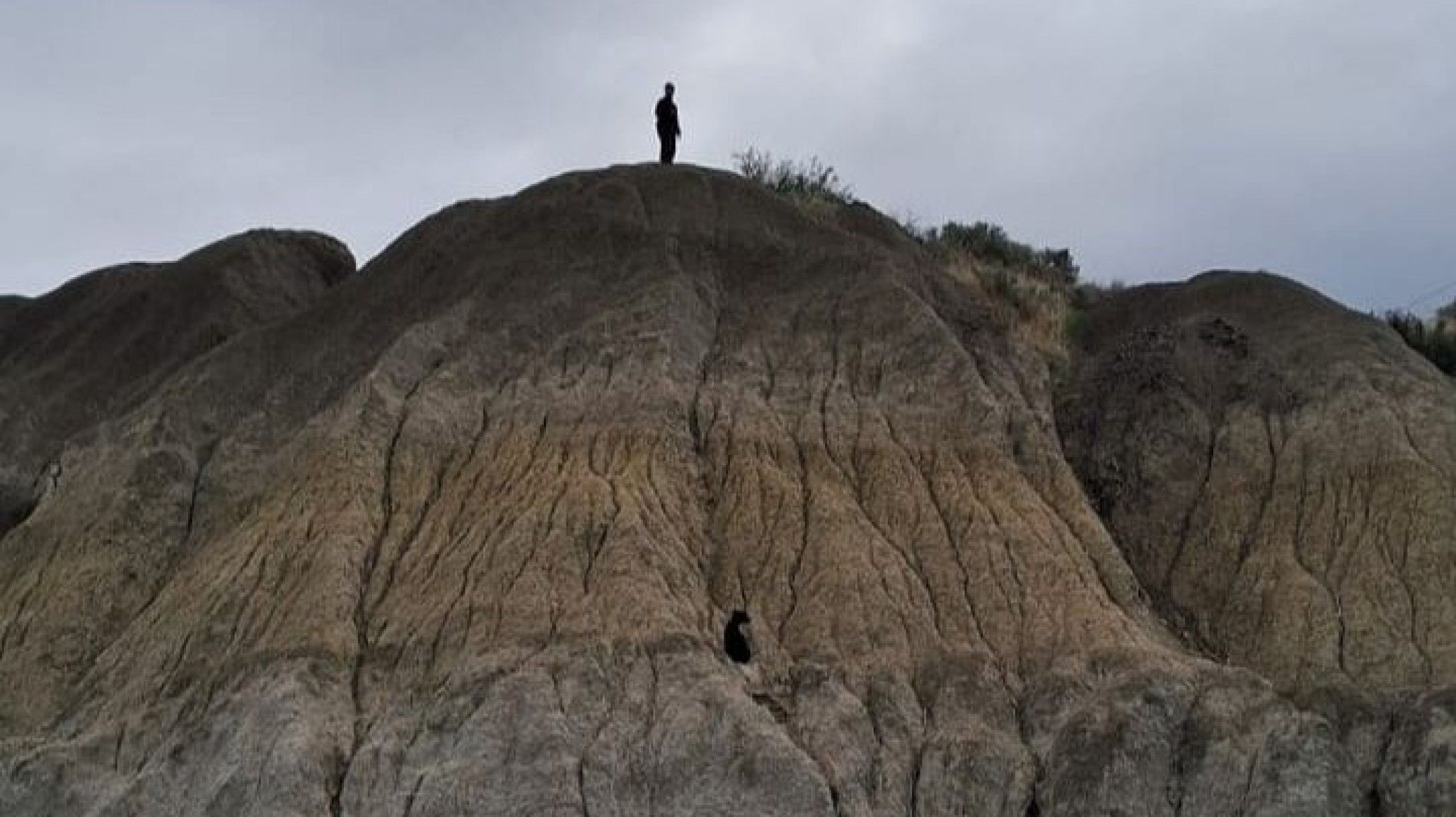 Rescataron a una perrita perdida en la Ruta Nacional N°3