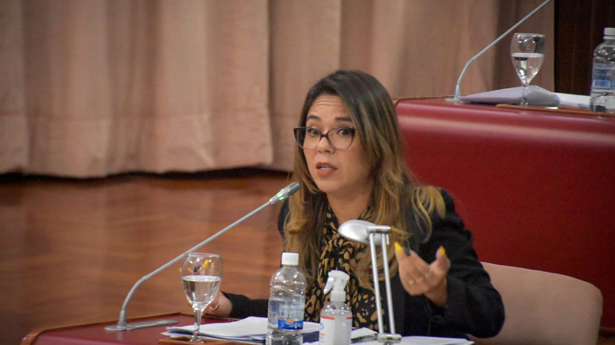 La diputada provincial Tatiana Goic presentó un pedido de informes por la situación en la Cuenca del Golfo San Jorge: "Nos estamos desangrando y ningún intendente dice nada"