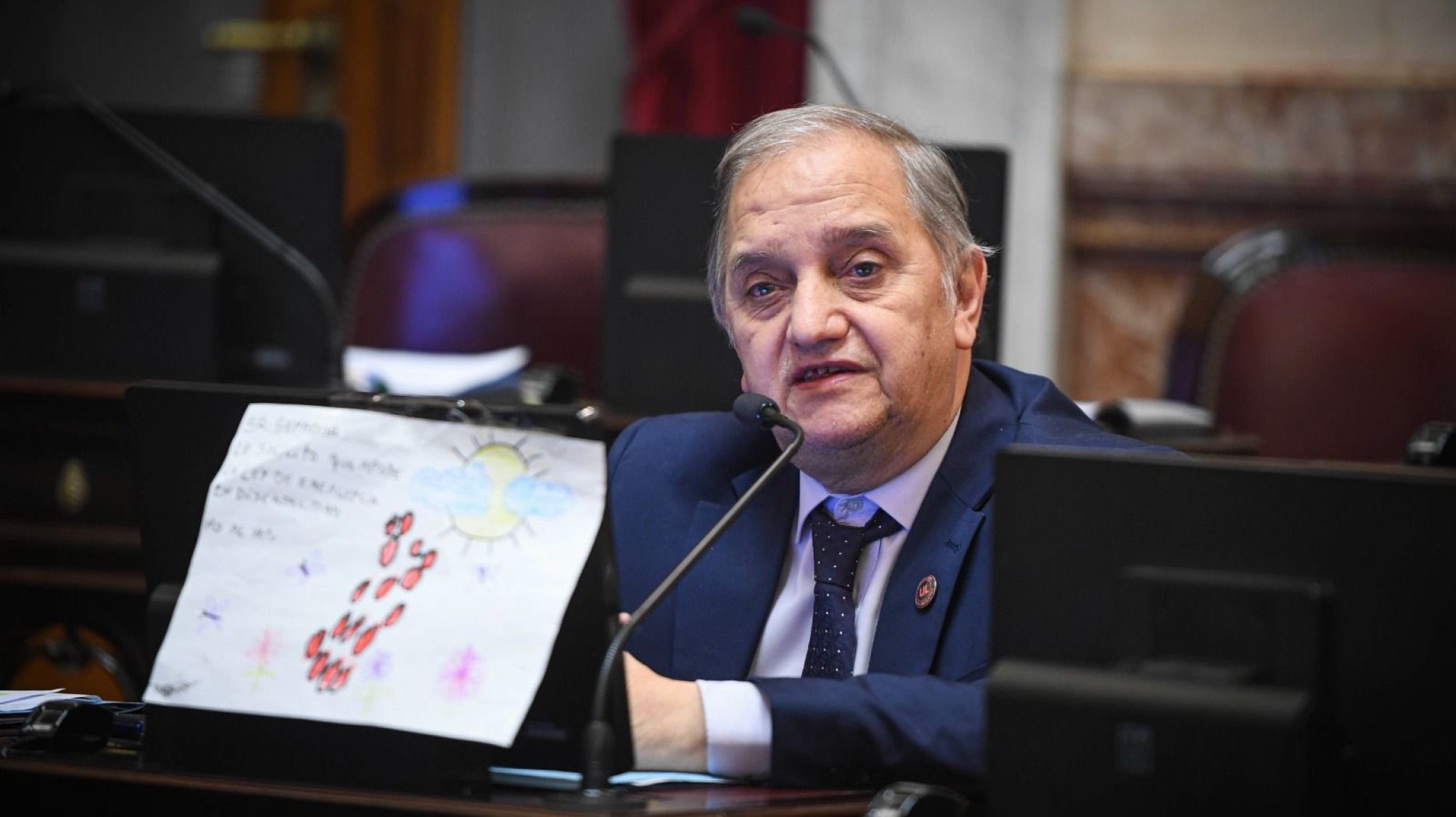 Linares celebró la insistencia en la ley de discapacidad y la limitación a los DNU: "Durante un año y medio hubo complicidad política de otros partidos con el gobierno nacional"