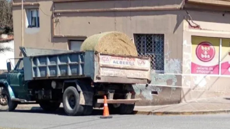 Un jubilado de 77 años murió al ser embestido por un camión en Salsipuedes