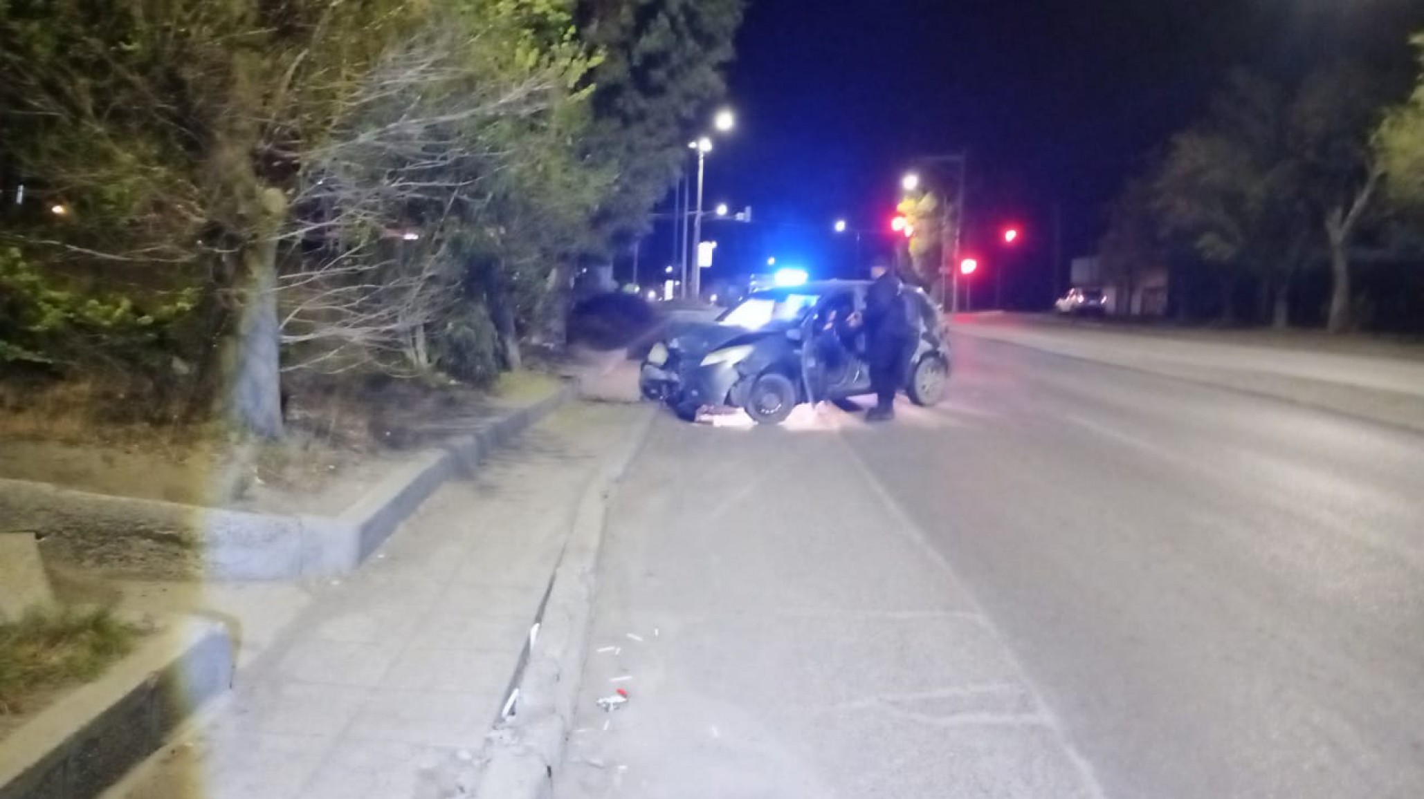 Una mujer conducía alcoholizada, chocó contra un árbol y no tenía licencia