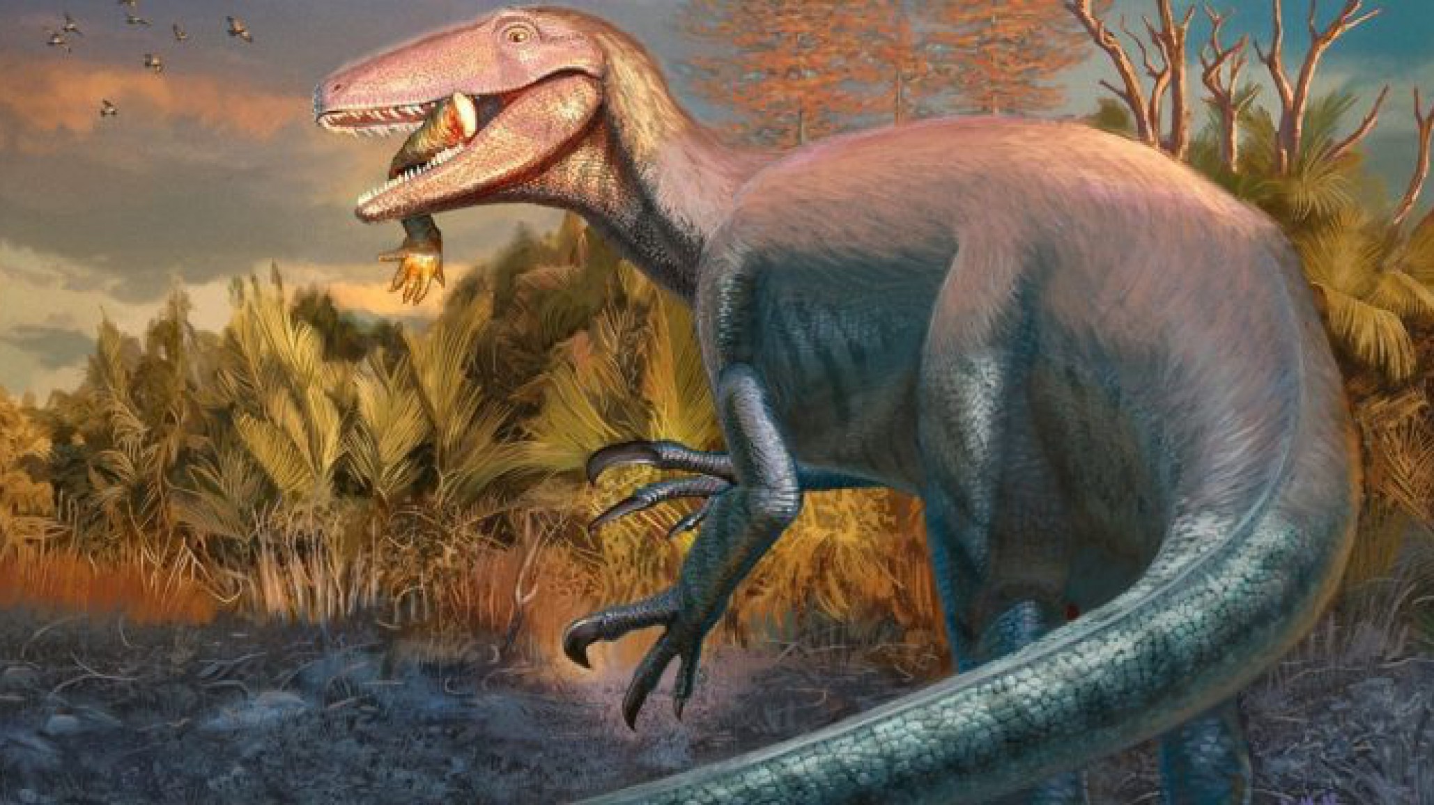 Descubren en Chubut al Joaquinraptor, un dinosaurio carnívoro entre los últimos en extinguirse