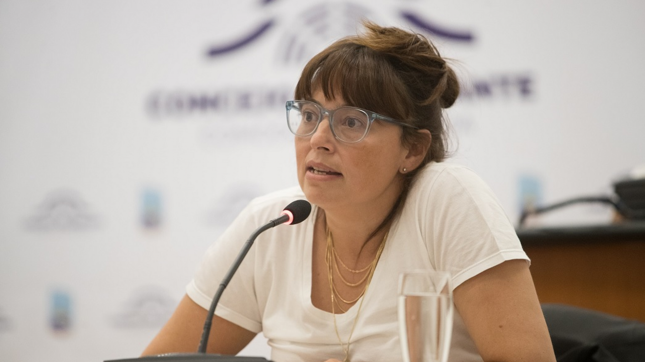 La concejal Luque presentará un proyecto para regular los controles en viajes escolares