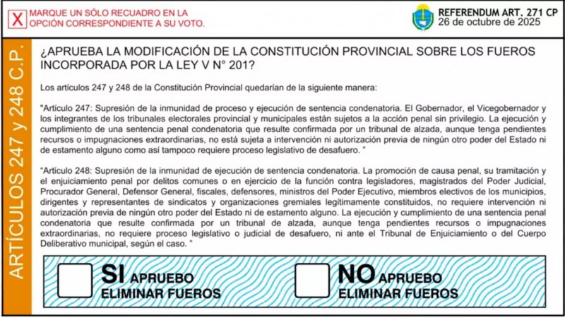 Desde la cátedra libre de Derechos Humanos llaman a votar NO a la reforma de la constitución provincial: "Los fueros son garantías para la división de poderes"