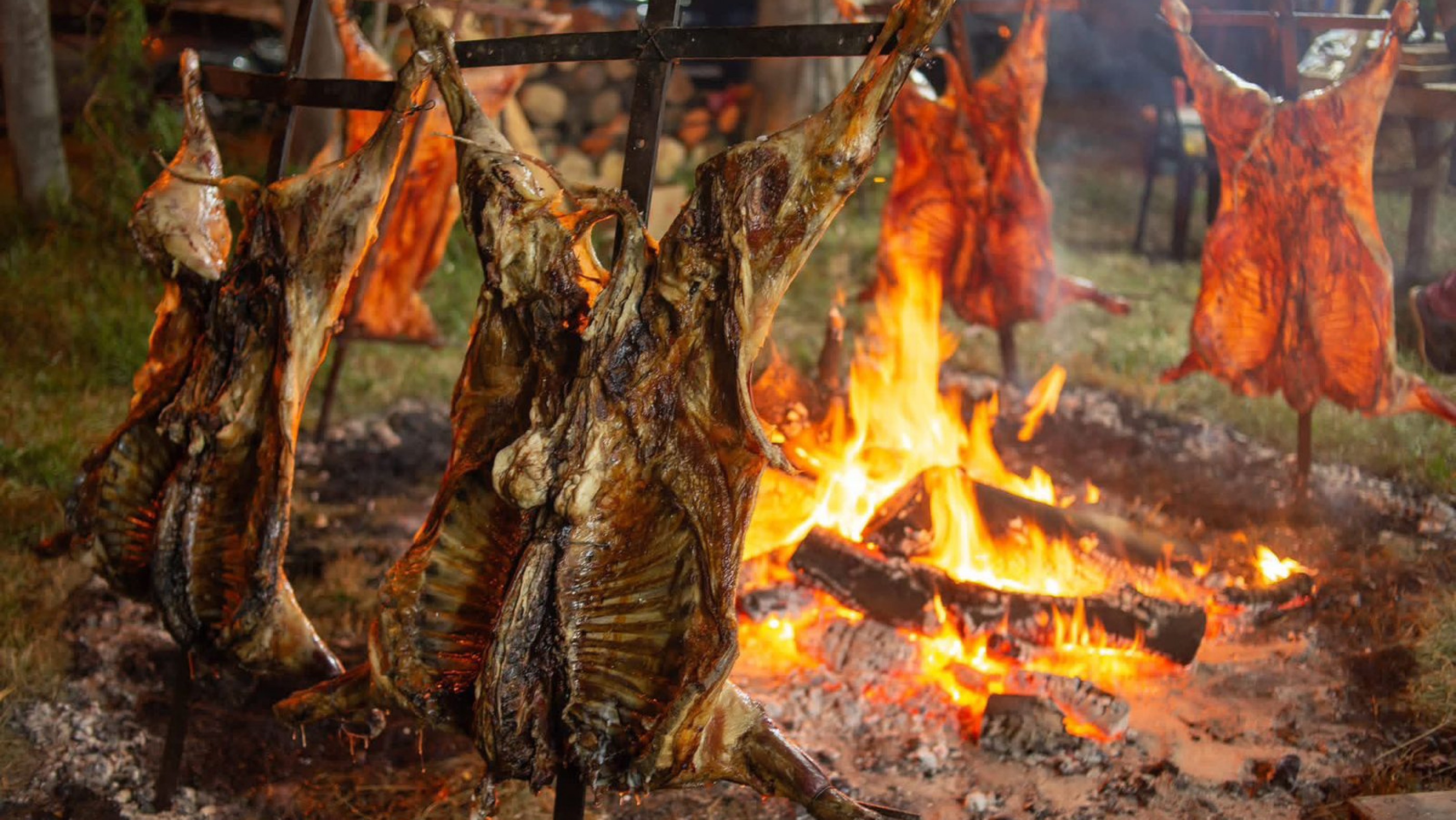 Chubut calienta motores: Madryn analiza dos grandes predios para la Fiesta Nacional del Cordero