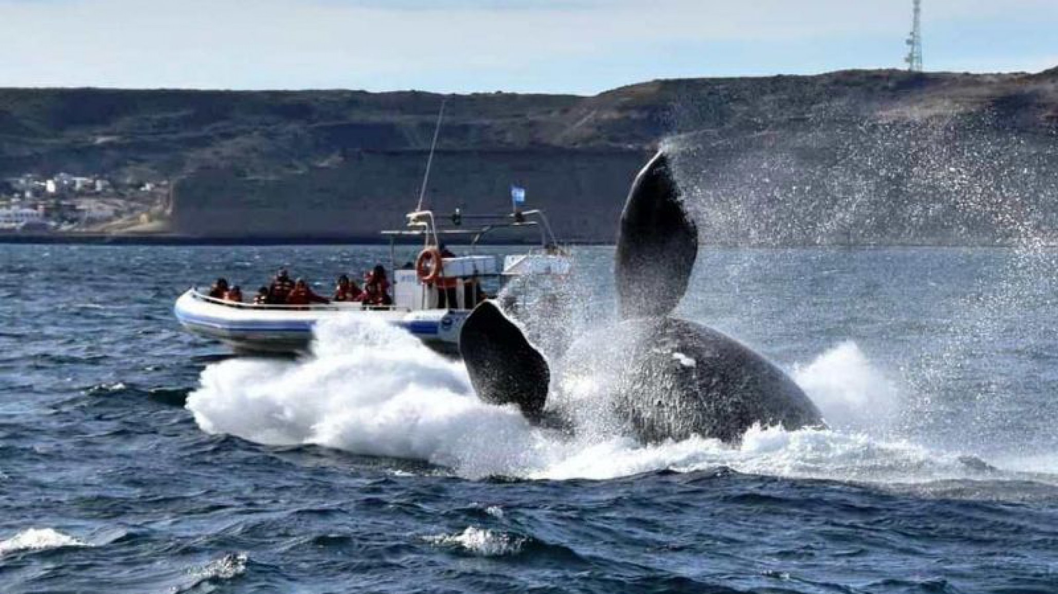 En julio, Península Valdés recibió un 30 % más de turistas que en 2018