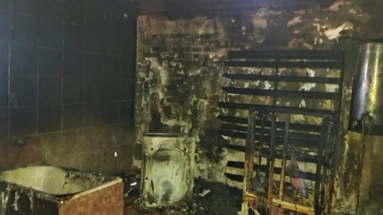 Tragedia en Centenario: cinco perros murieron en el incendio de una vivienda