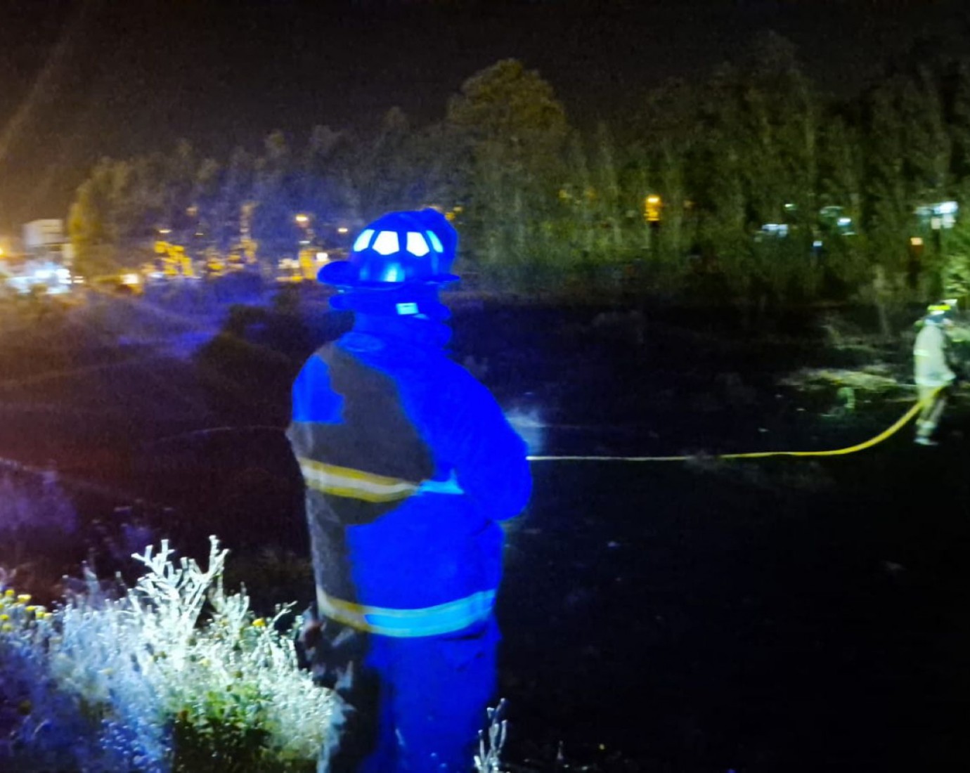 Incendio de pastizales en Palazzo: investigan a menores que habrían iniciado el fuego con pirotecnia