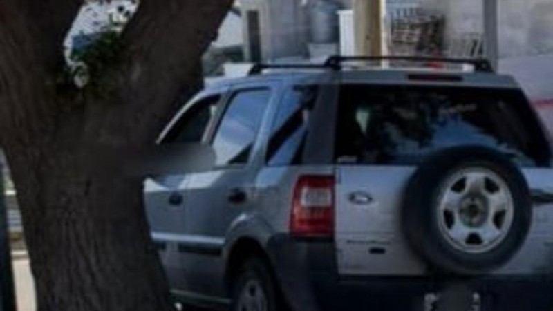 Perdió el control y chocó contra un árbol en Avenida Rivadavia