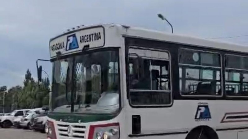 Inseguridad en los recorridos: frenan el servicio tras un ataque a un chofer