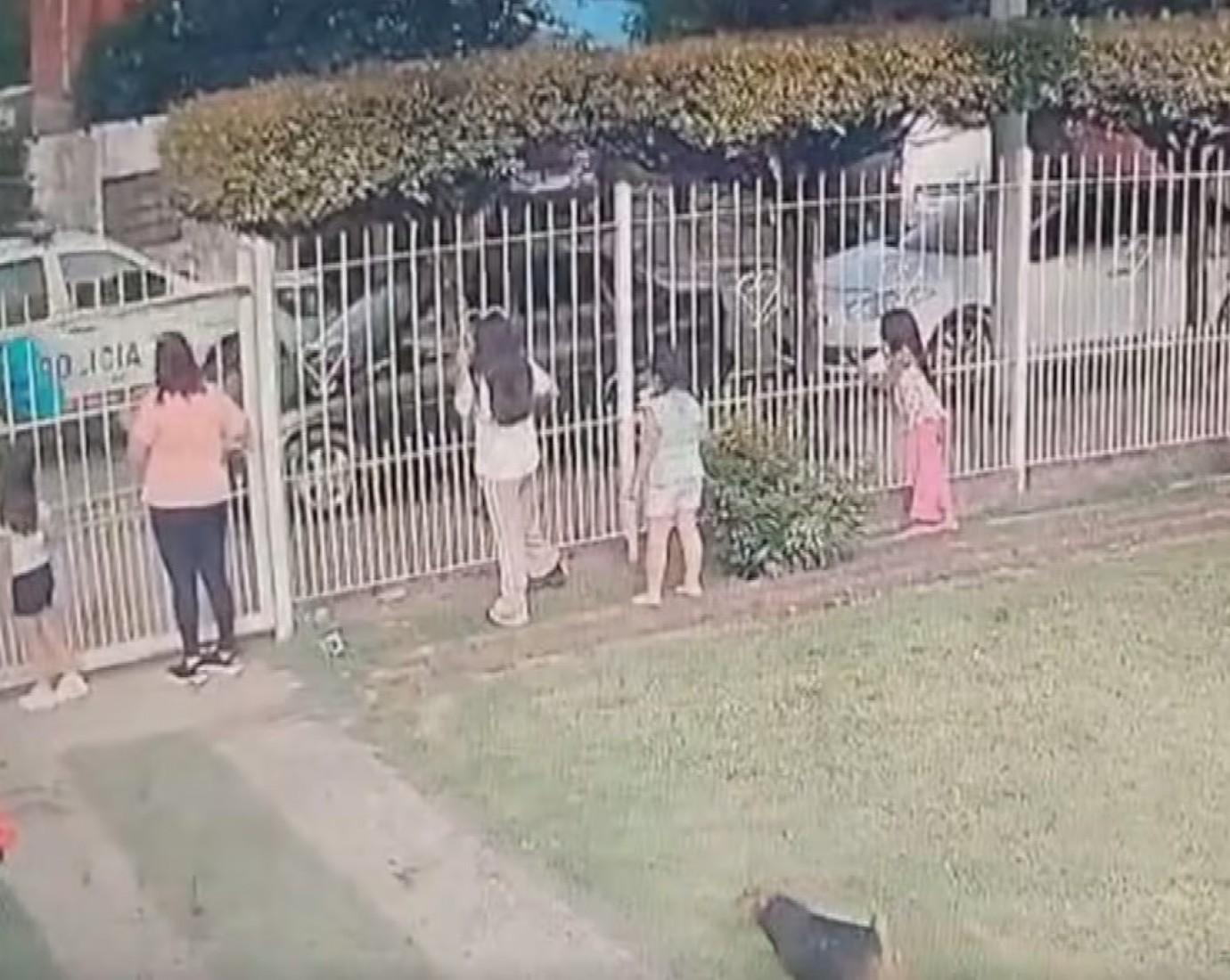 Operaron de urgencia a una nena de 2 años que fue atropellada por un patrullero