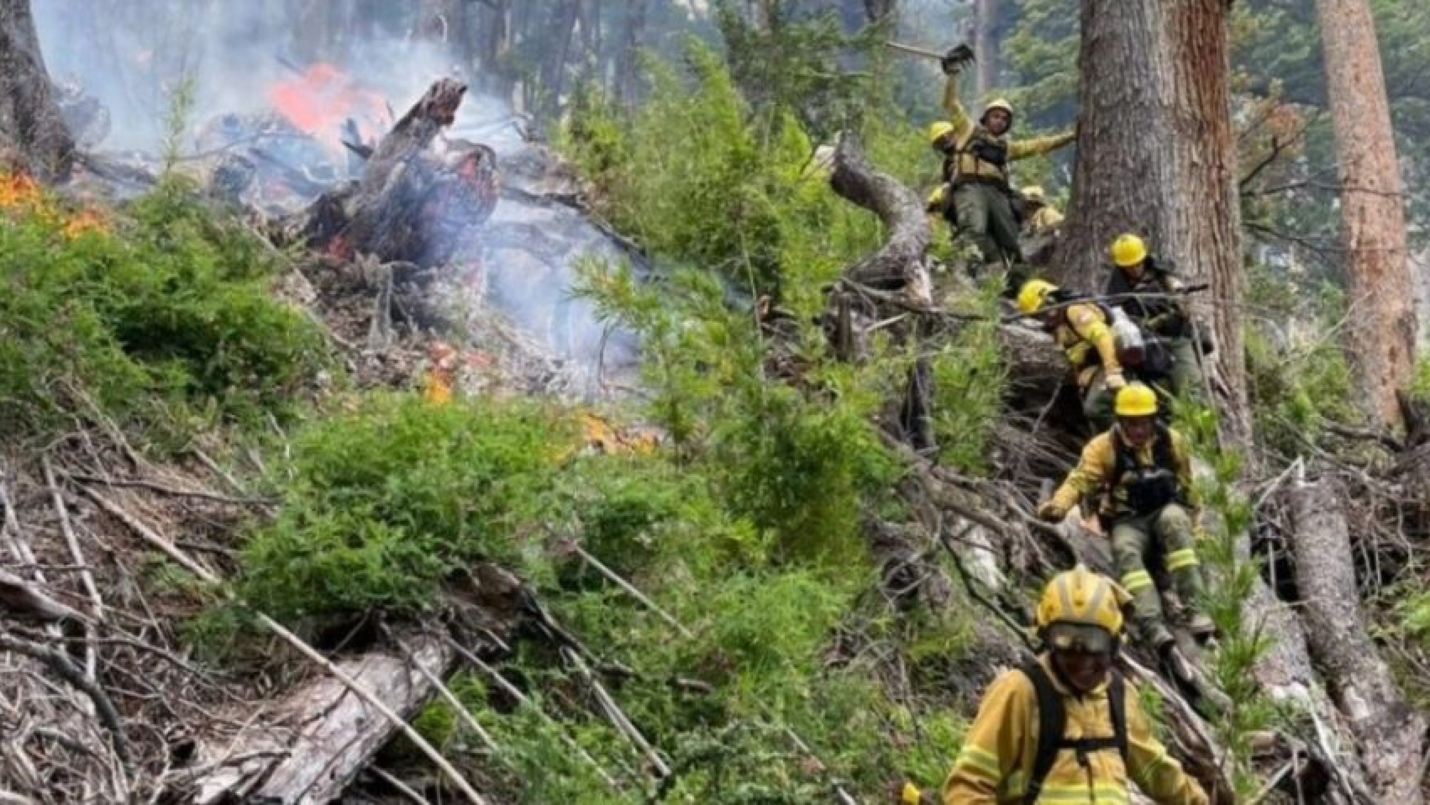 Esquel: Retención de servicios por 48 horas en la Secretaría de Bosques