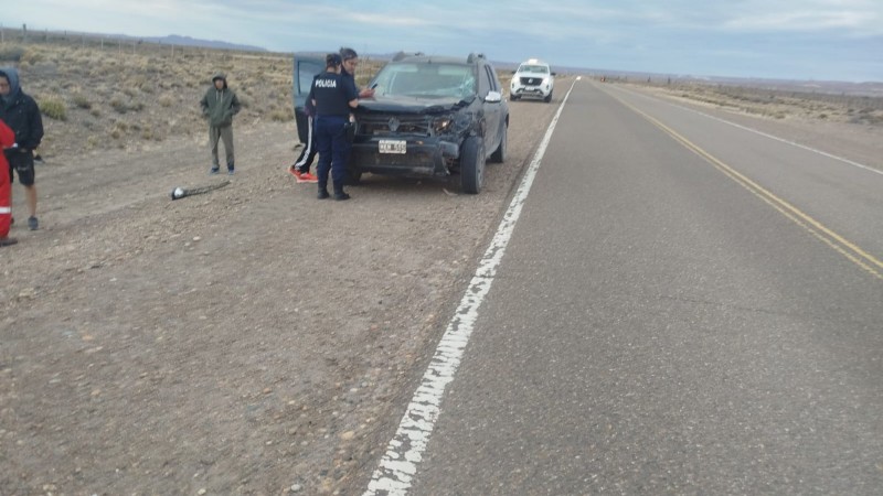 Accidente en la Ruta 26: chocó contra un guanaco cerca de Sarmiento y no hubo heridos