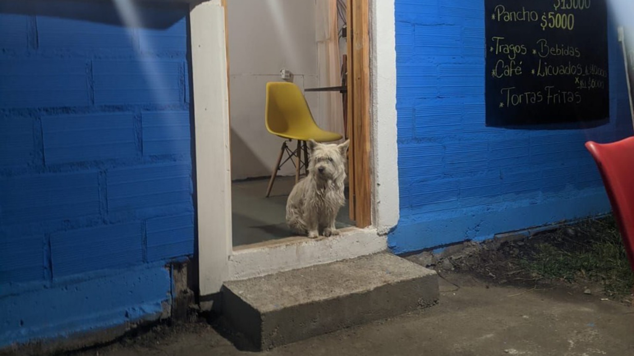 "No te apartaste de él en ningún momento": El homenaje a la perra que acompañó hasta el final al brigadista fallecido en Ruta 40