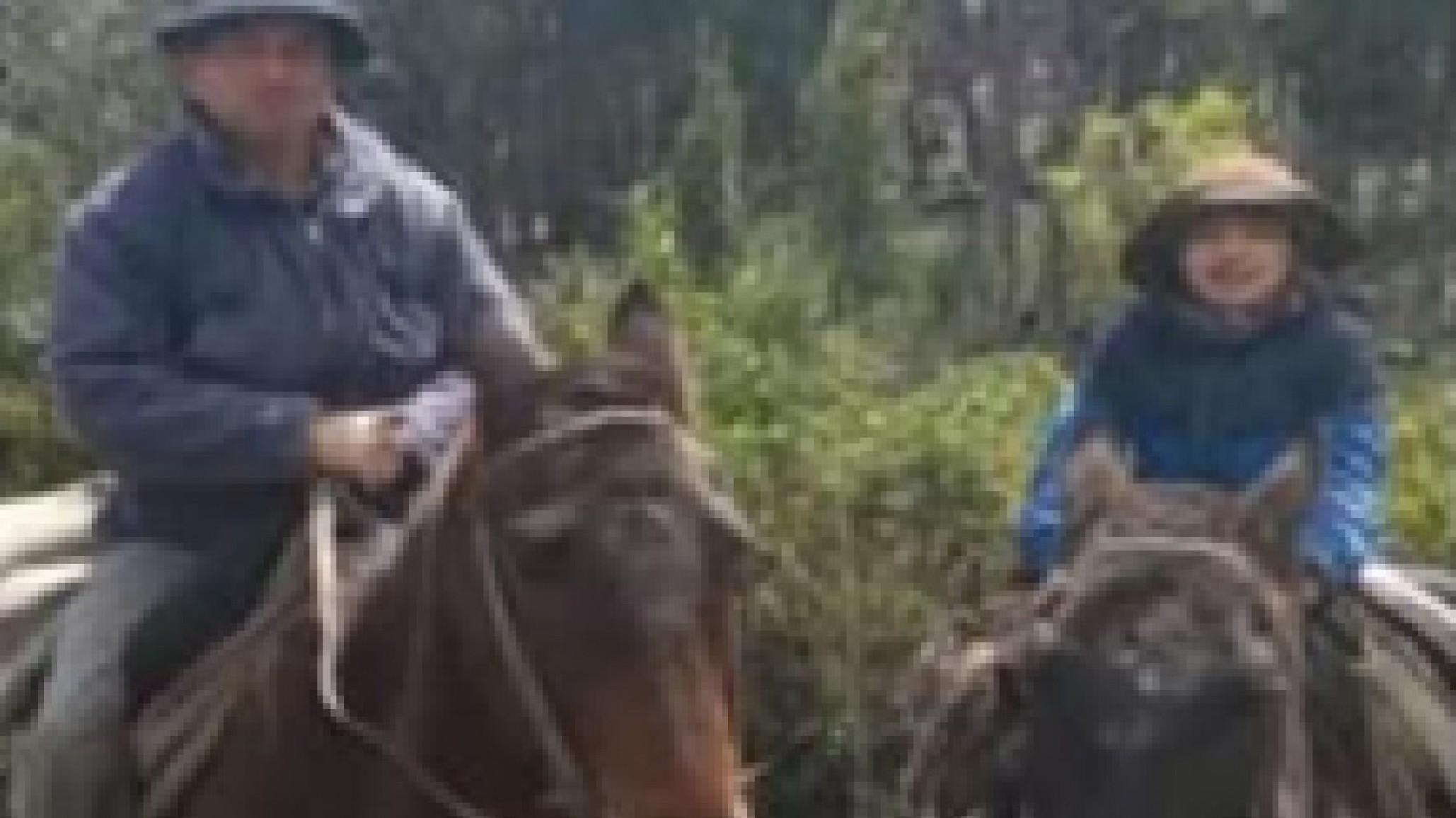 Puerto Patriada: buscan fardos y alambre para los animales sobrevivientes de la familia Rogel