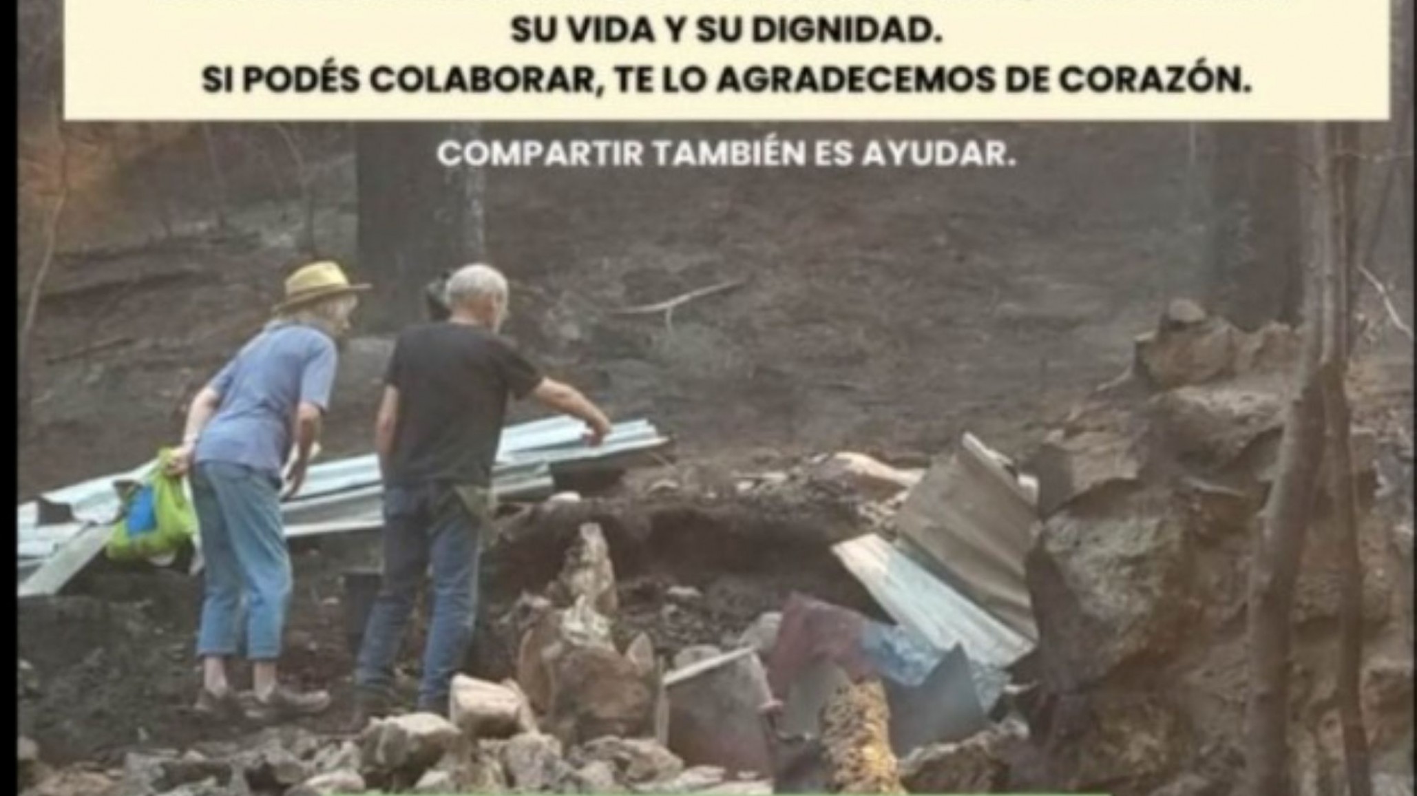 El incendio en Epuyén arrasó con la casa y el trabajo de 40 años de Lucas Chiappe y Jillian Webb