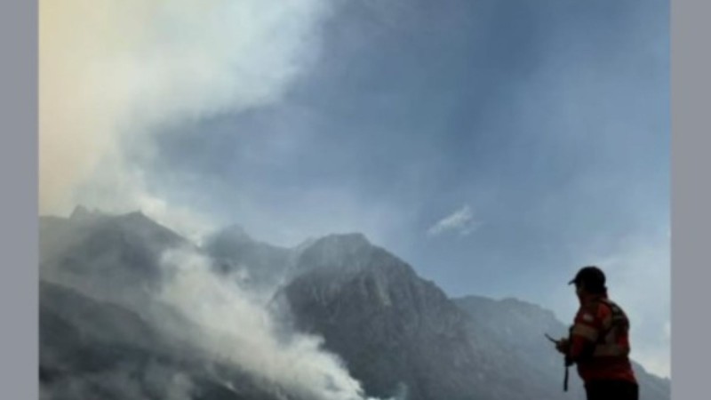 Incendio activo en Puerto Patriada: ya son casi 12 mil las hectáreas afectadas