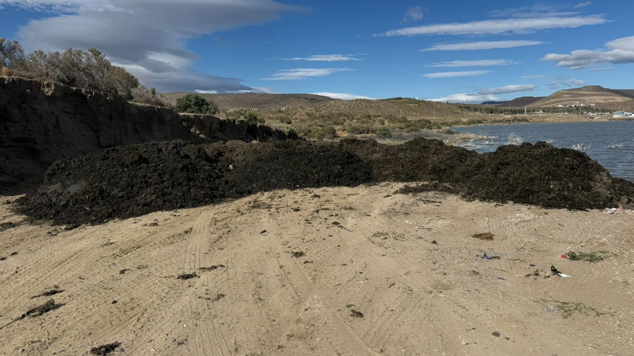Rada Tilly: Denuncian que el municipio vierte algas en la laguna y advierten que solo agravará el hedor