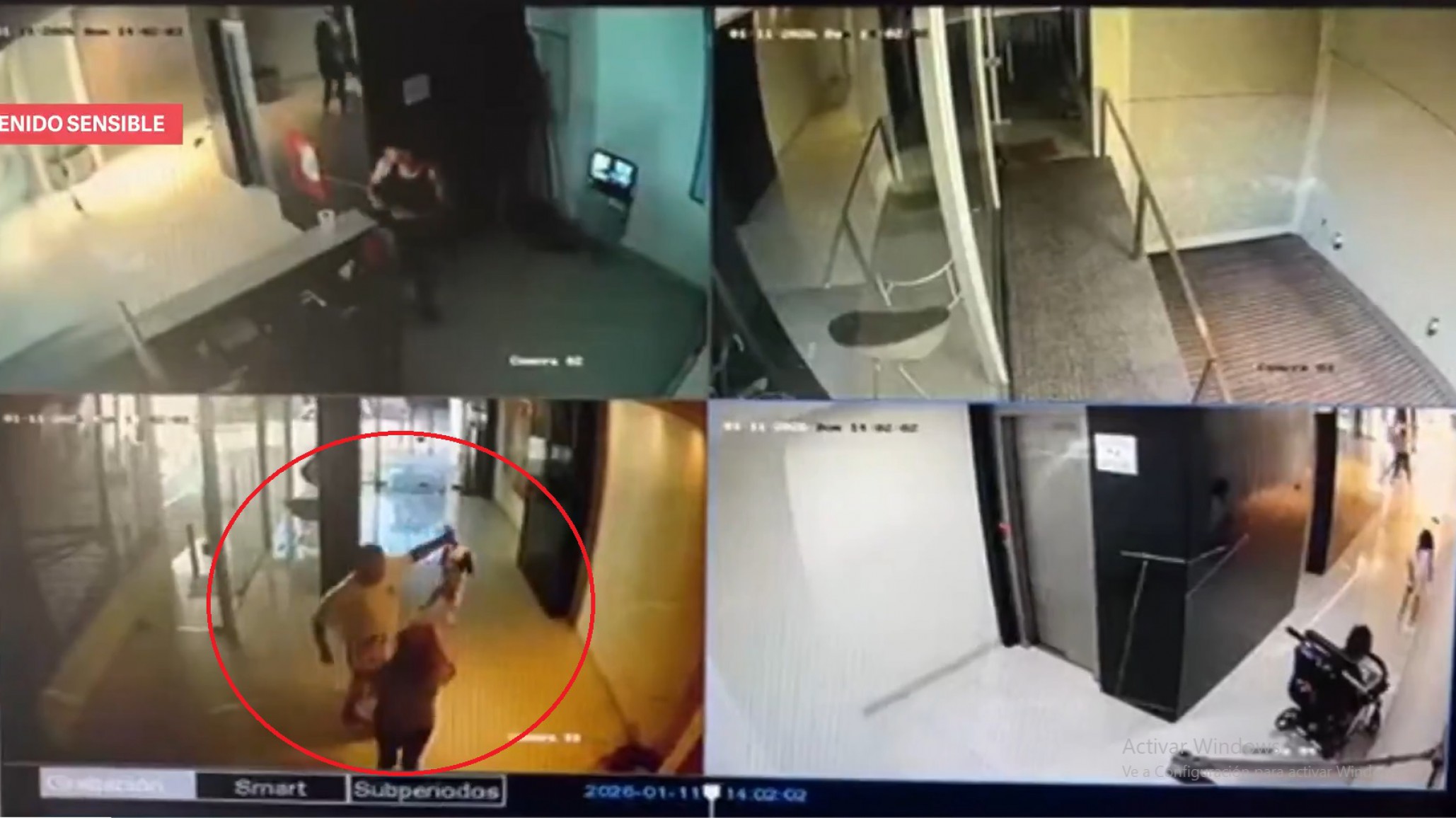 Video del horror: El brutal ataque de un hombre contra un pequeño perro por ladrarle a su hija