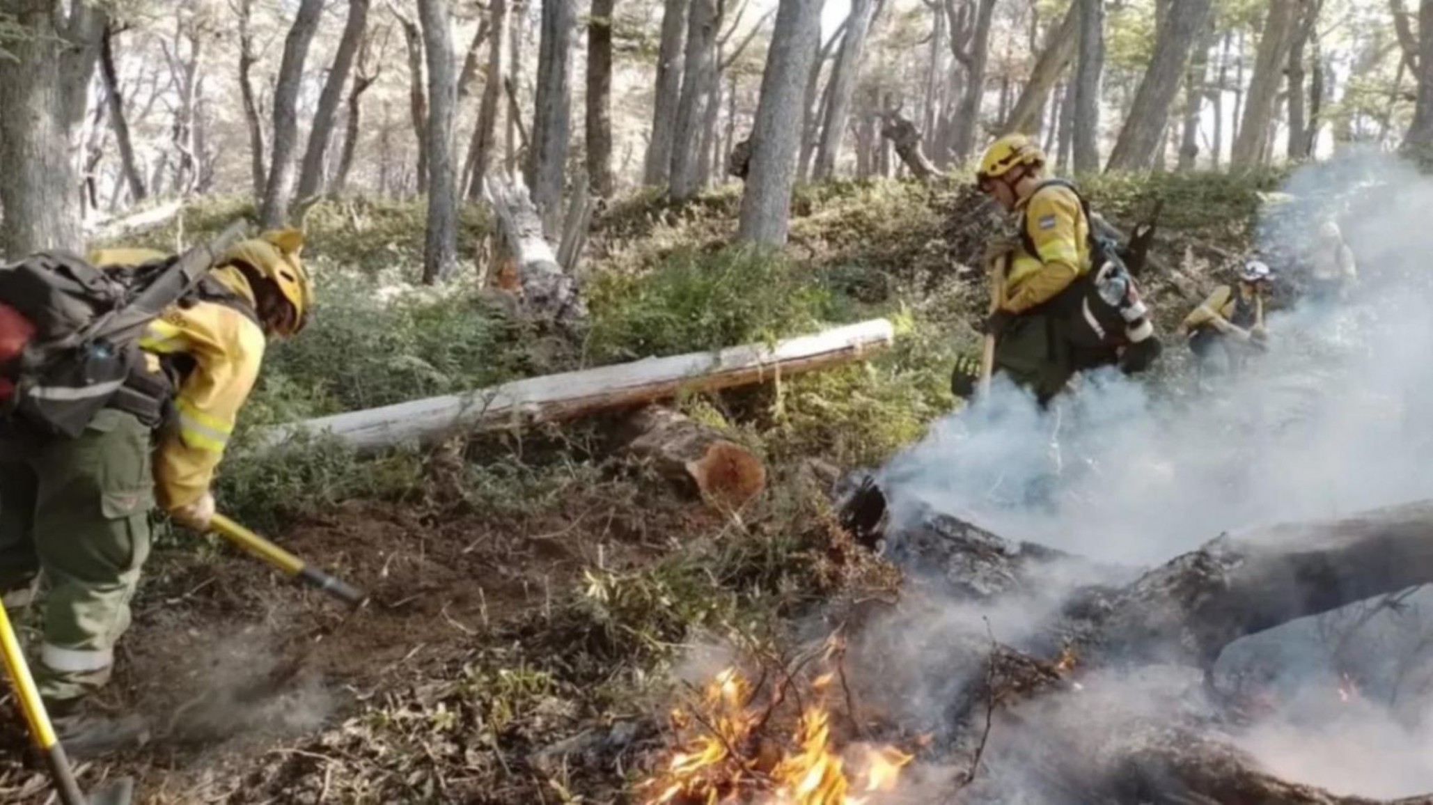 Incendio en el Parque Nacional Los Alerces sigue activo y el viento complica su control