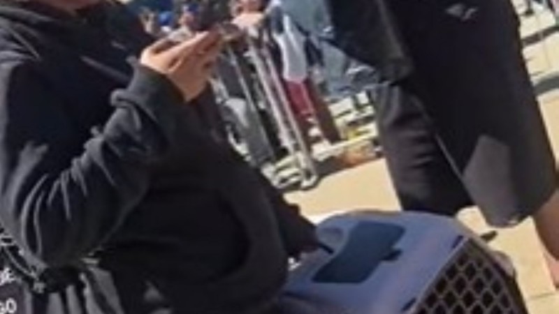 "Estamos esperando poder volver a buscar a los animales": el angustiante relato de una vecina evacuada