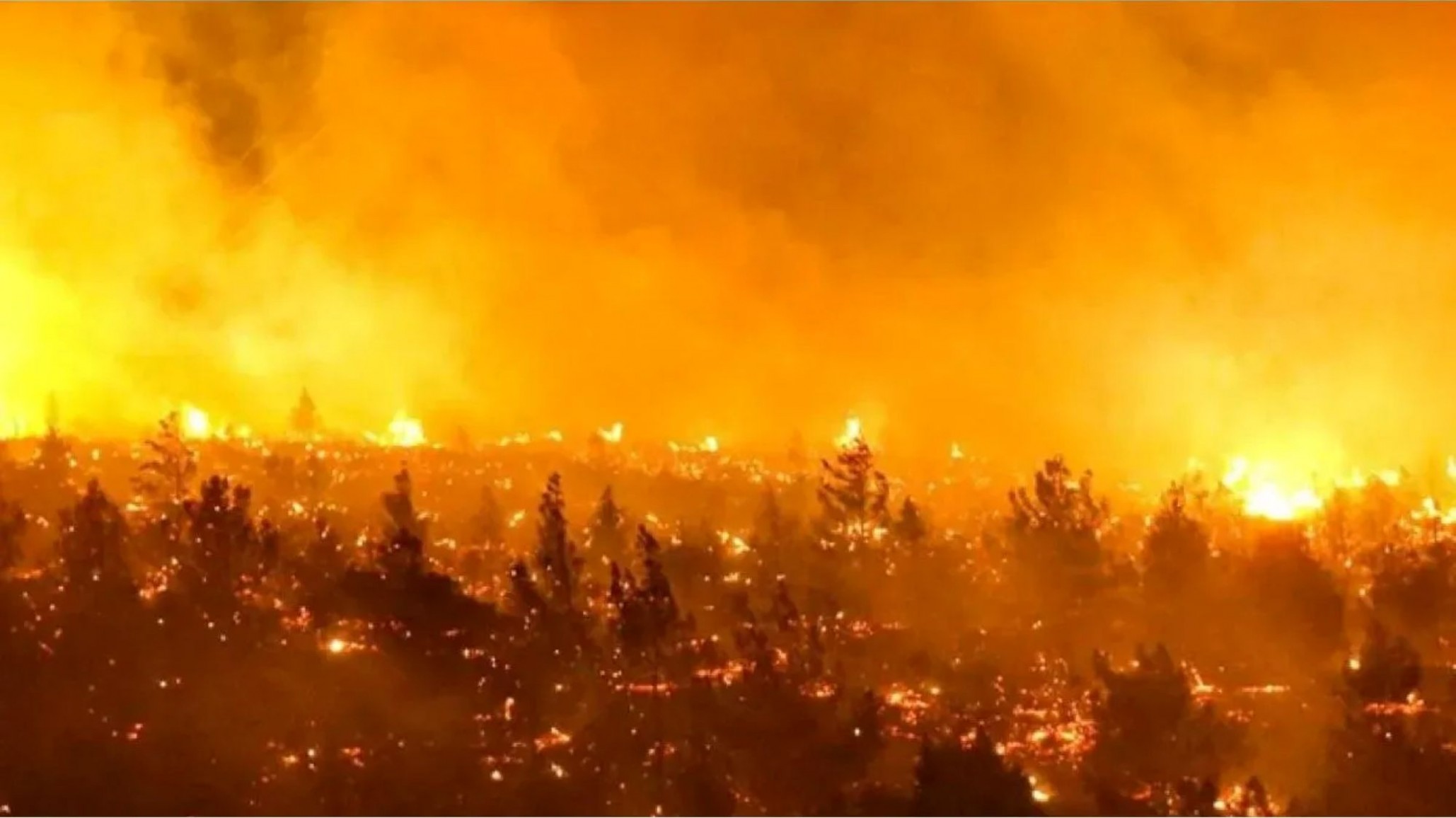 Al menos 16 muertos y más de 50.000 evacuados por los incendios en el sur de Chile