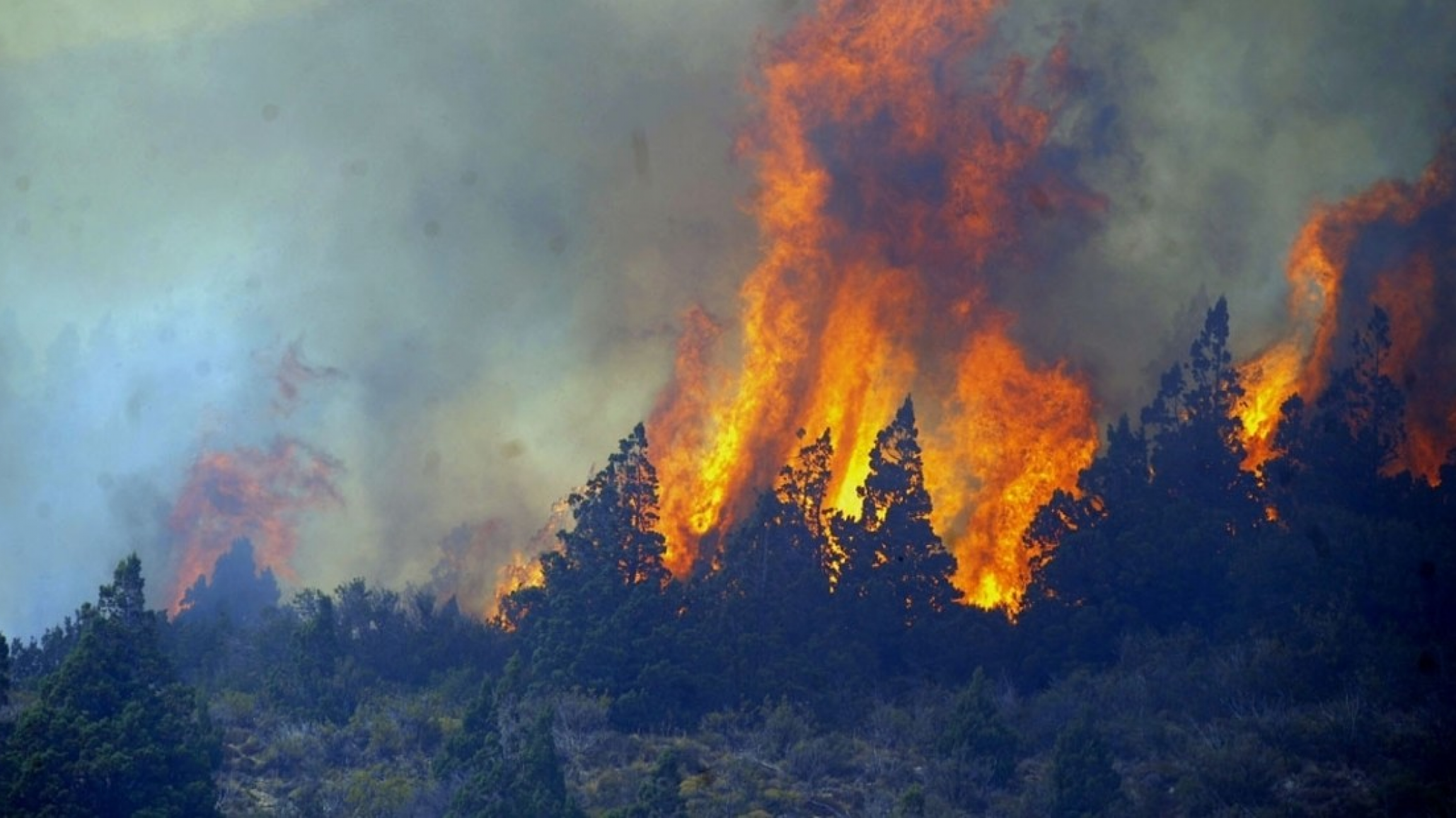 Colecta solidaria para Cholila: piden herramientas y elementos de trabajo para enfrentar el avance del fuego