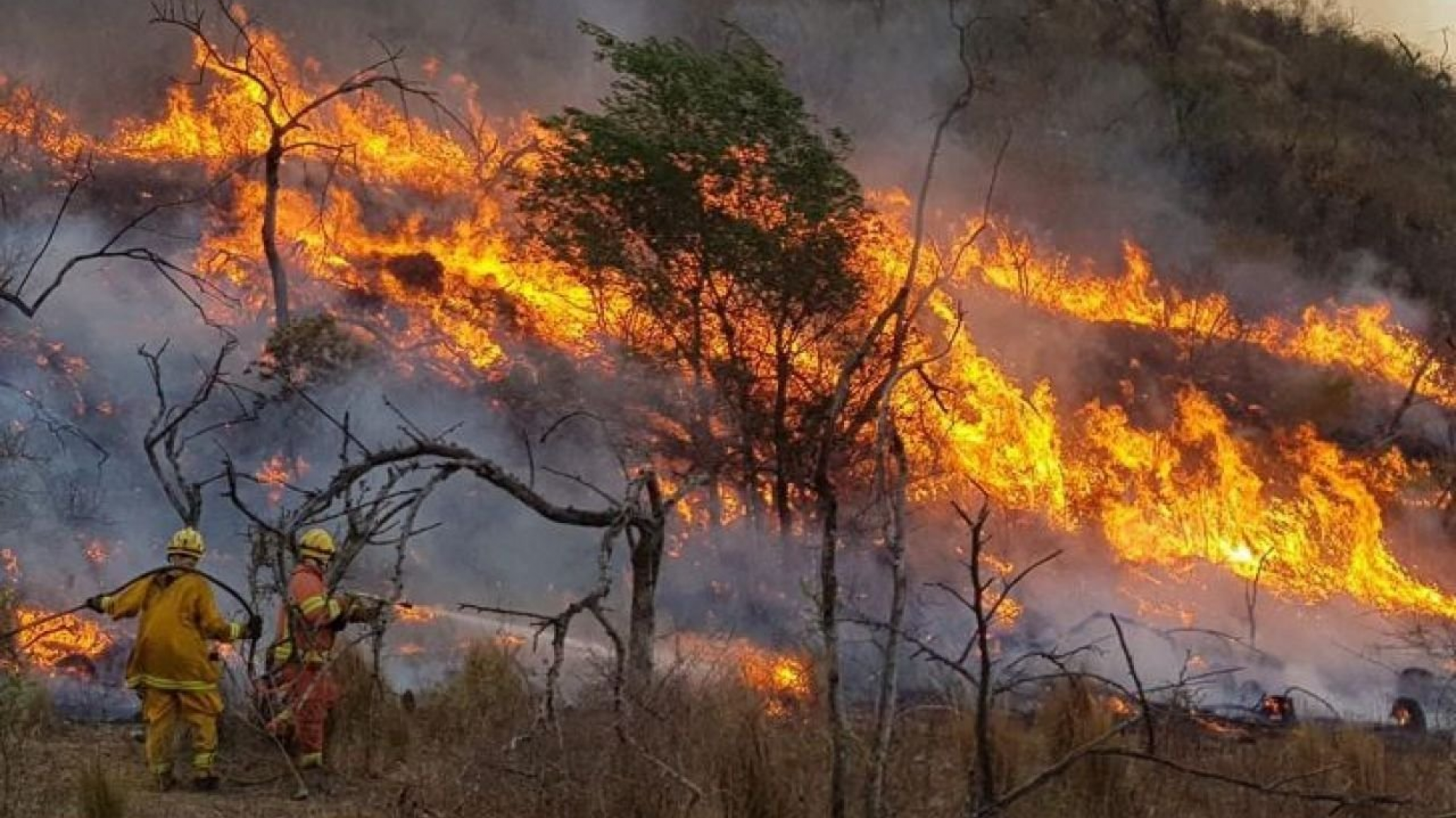 Incendios en la Patagonia: el Gobierno incluiría la declaración de emergencia ígnea en sesiones extraordinarias