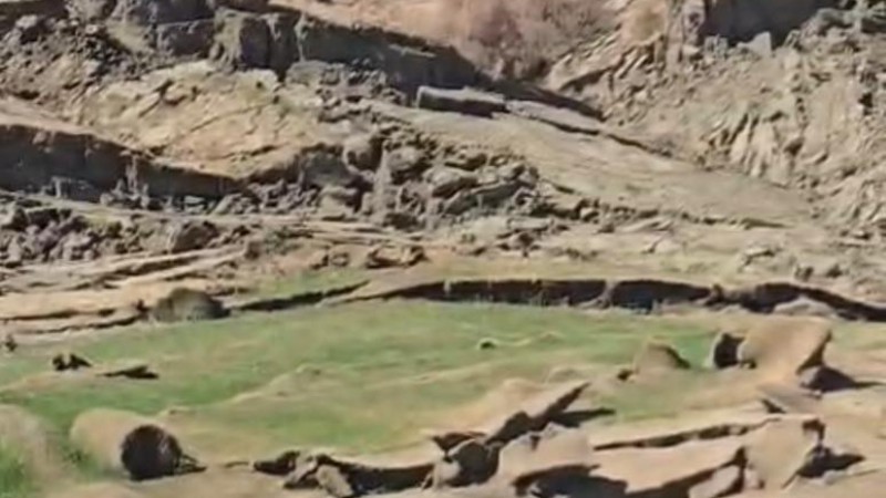 Restringieron el ingreso al cerro Hermitte tras un nuevo desprendimiento de tierra