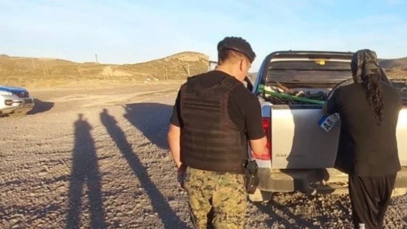 Secuestraron carne de guanaco y un piche en un control sobre la Ruta 39