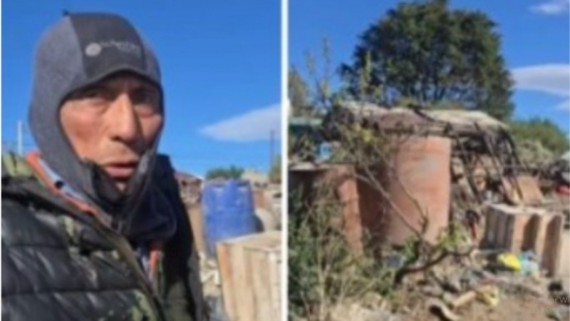 Cuida solo a decenas de gatos y perros que dejó vecino tras su muerte y pide ayuda