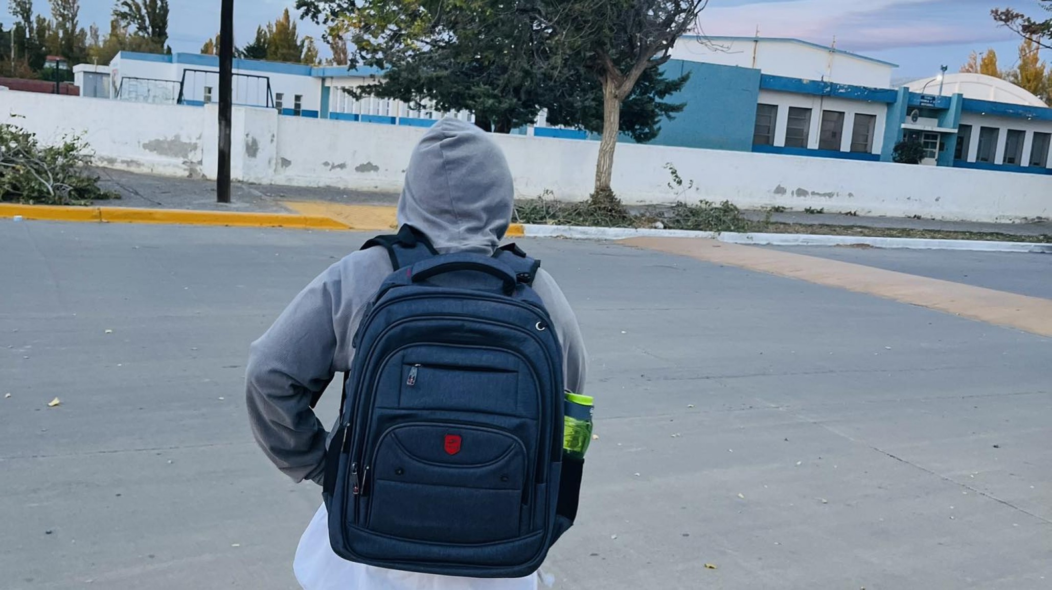 "Tuvo que dejar la escuela para cuidar su salud mental": el fuerte mensaje de una madre tras un caso de bullying