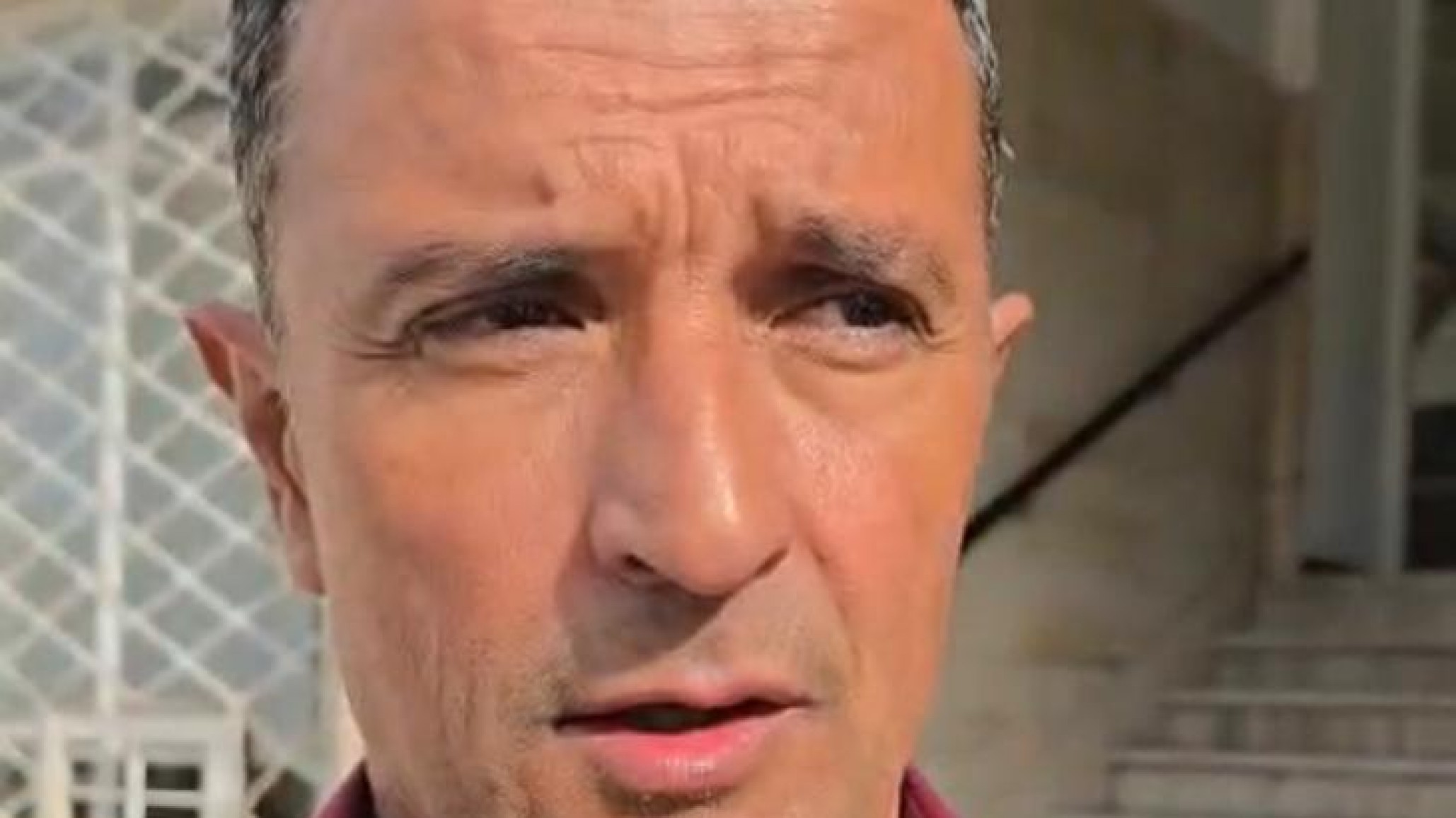 Caballos sueltos: nueva ordenanza permitirá retirar animales de la vía pública